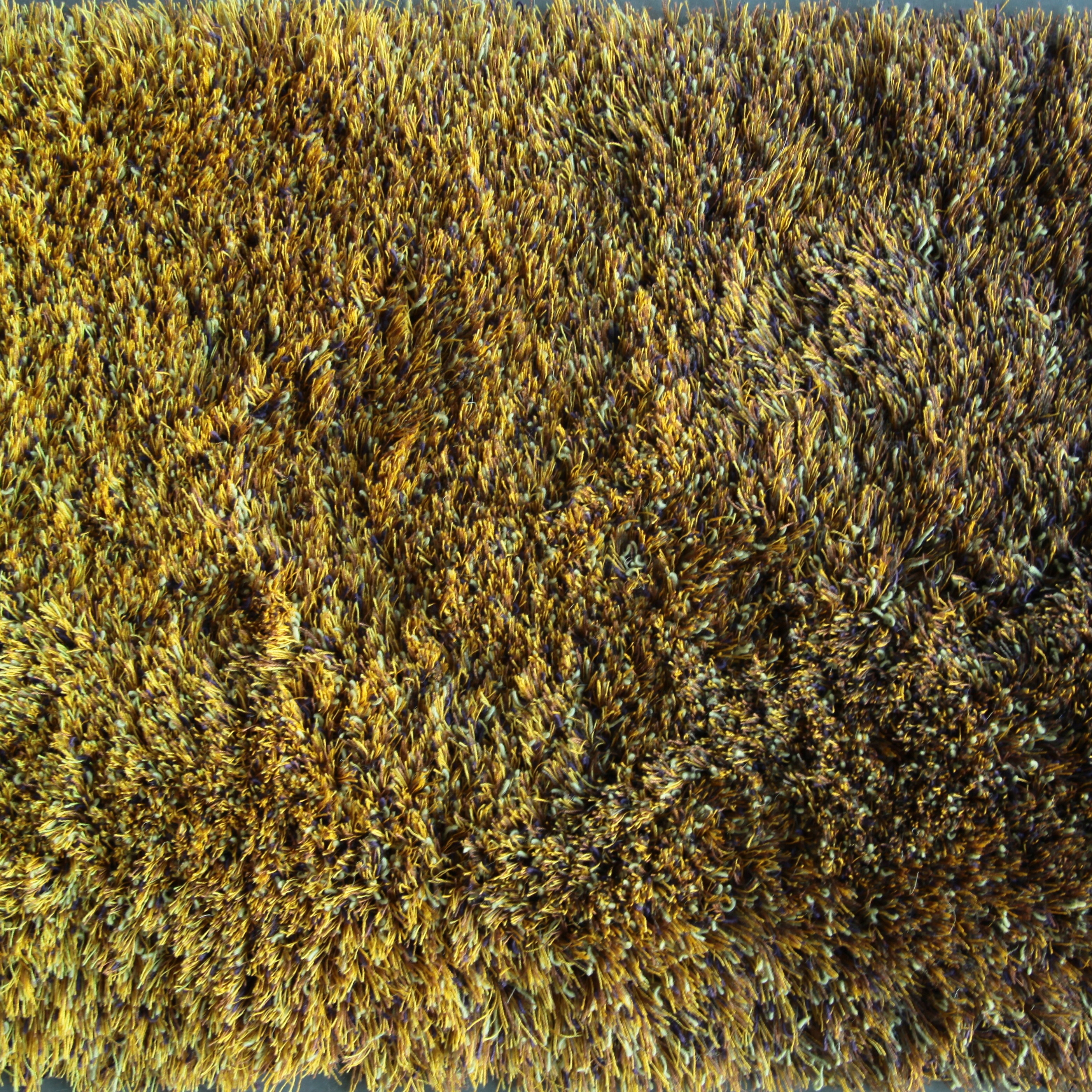 Sauvage dégradé 380020