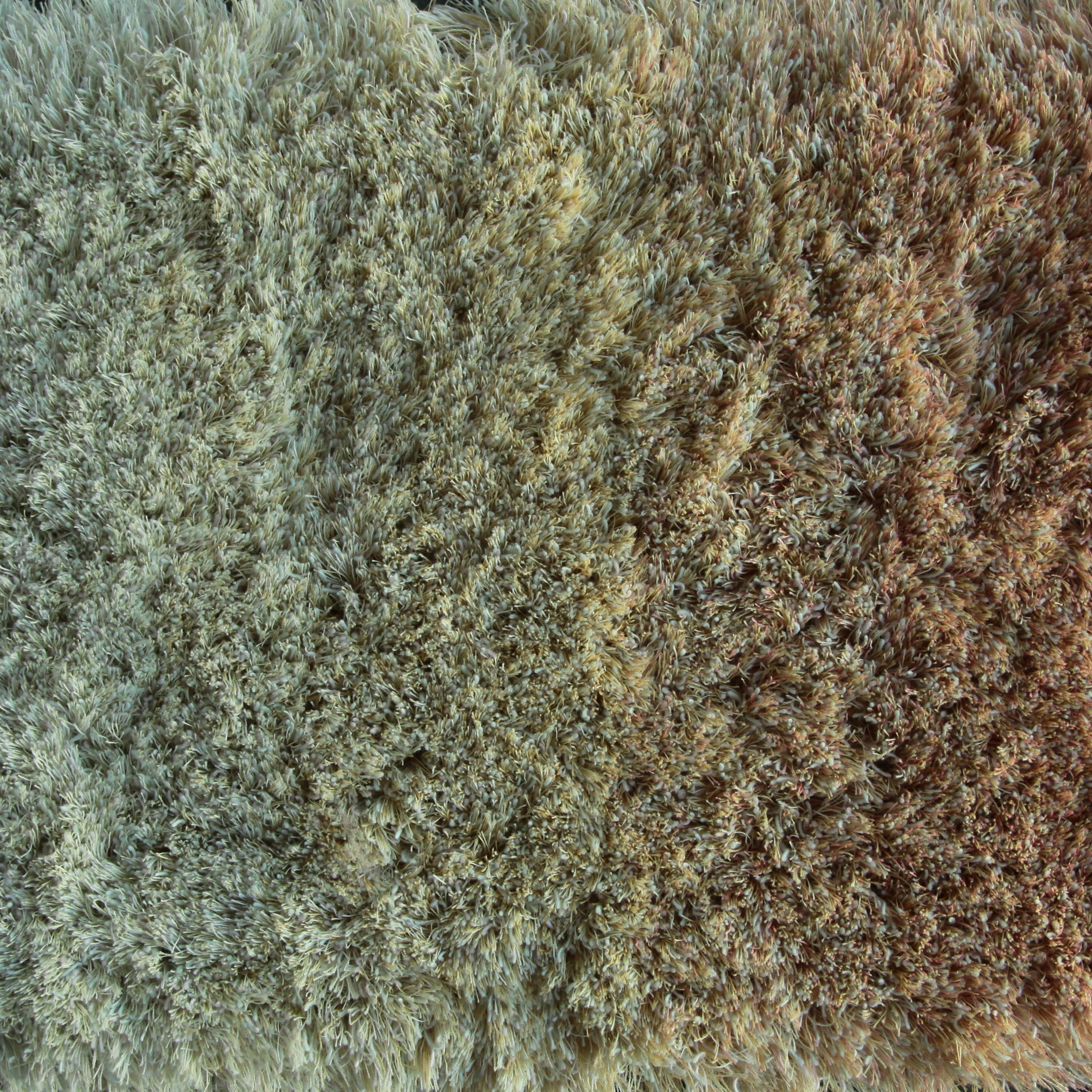 Sauvage dégradé 380100
