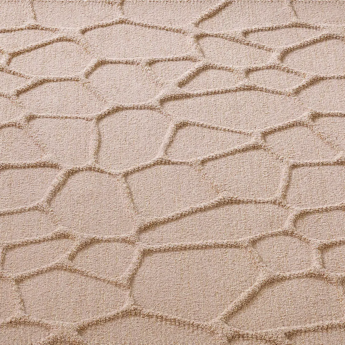 CSrugs - Surfaces 3D | Cellular