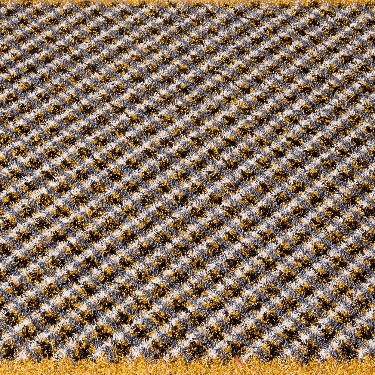 Symbiosis | Plaid