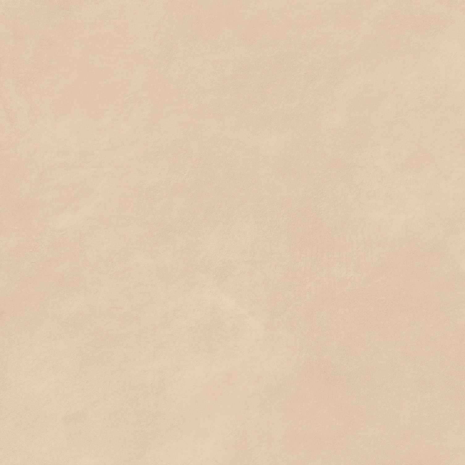 Calcecreta | Bisque Naturale 60x120