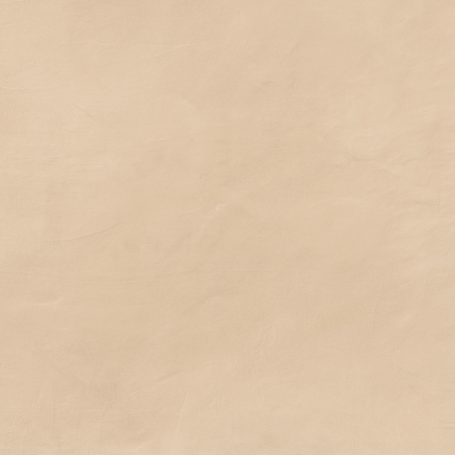 Calcecreta | Bisque Naturale 60x60