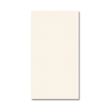 Alae Champagne 31x59.5