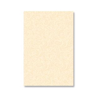 Vinde Champagne 30x45