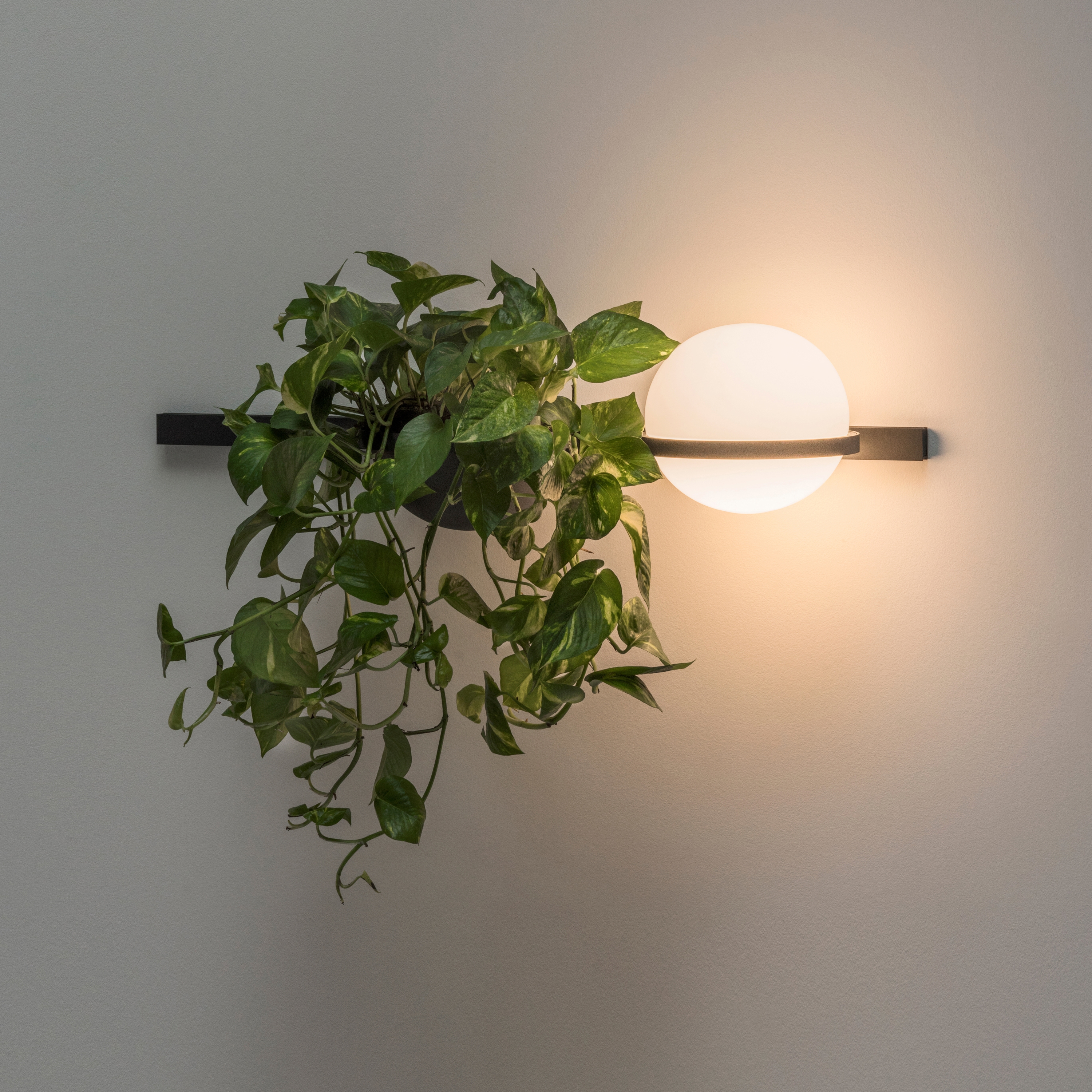 Display product Palma 3702 Wall lamp from manufacturer Vibia