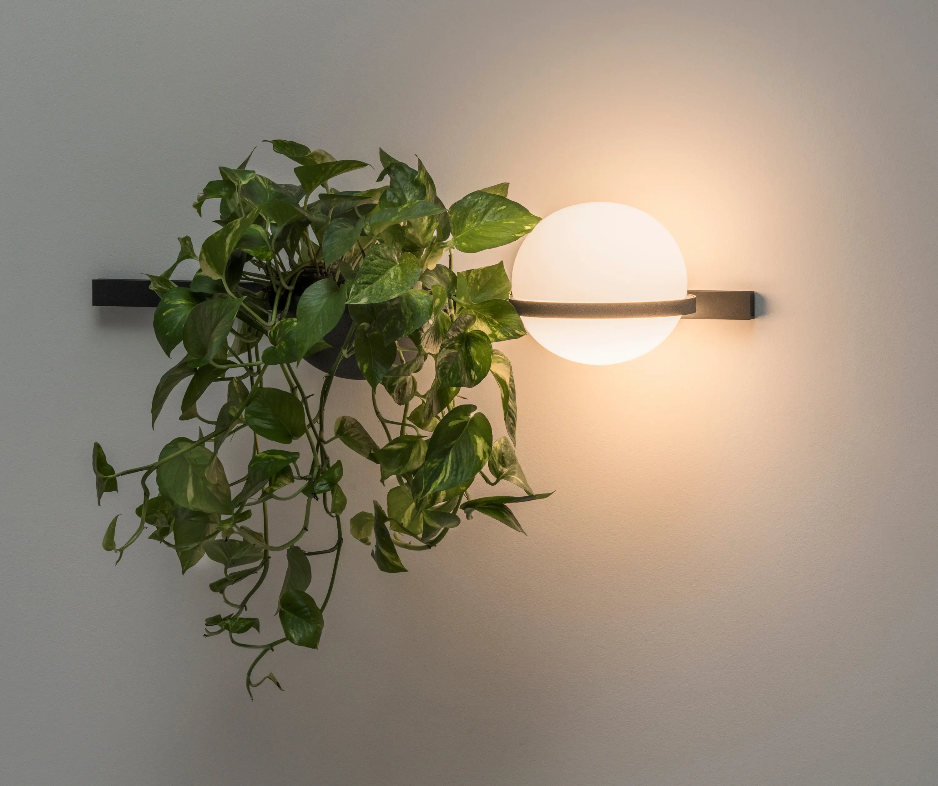 Vibia - Palma 3702 Wall lamp