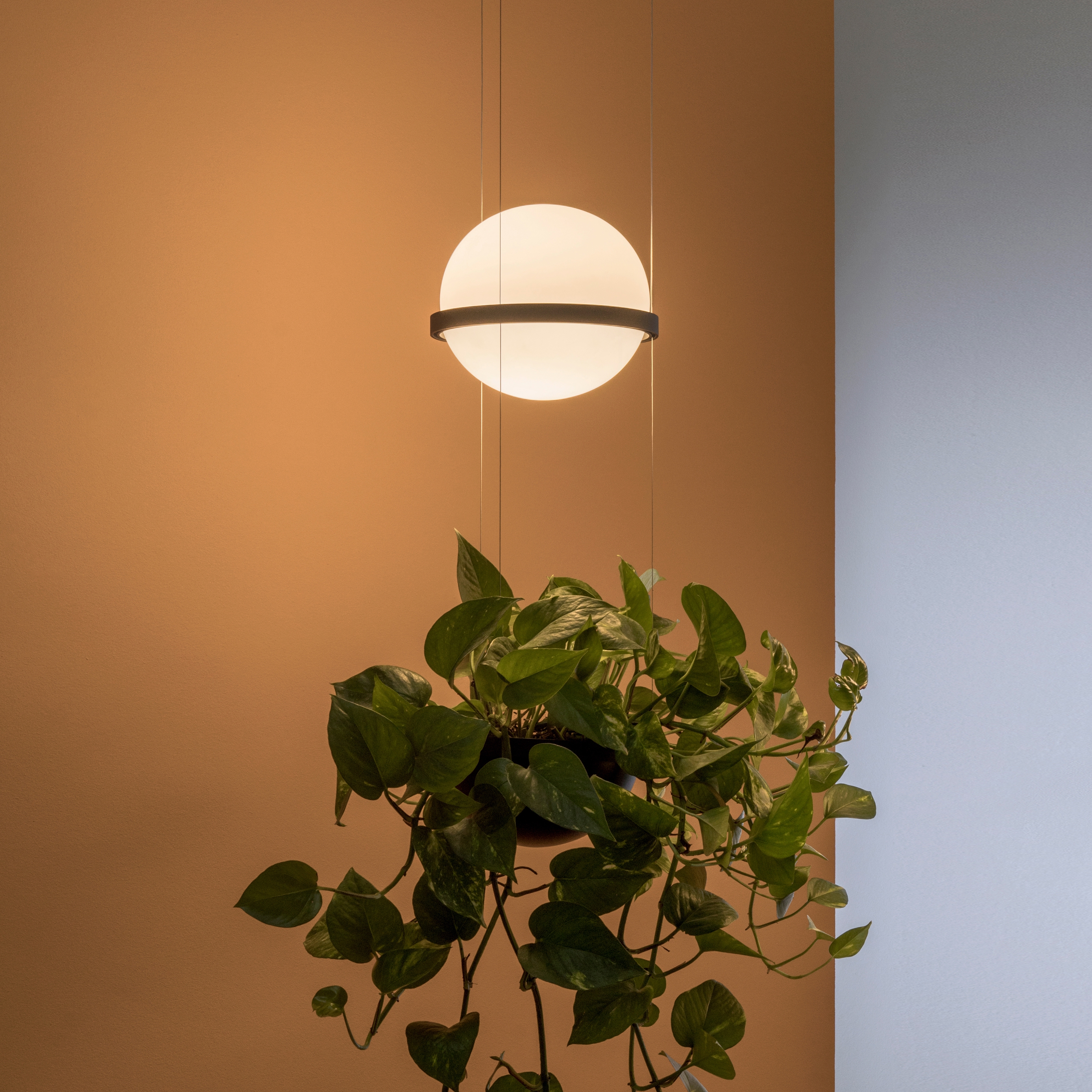 Afficher le produit Palma 3724 Lampes suspendues du fabricant Vibia