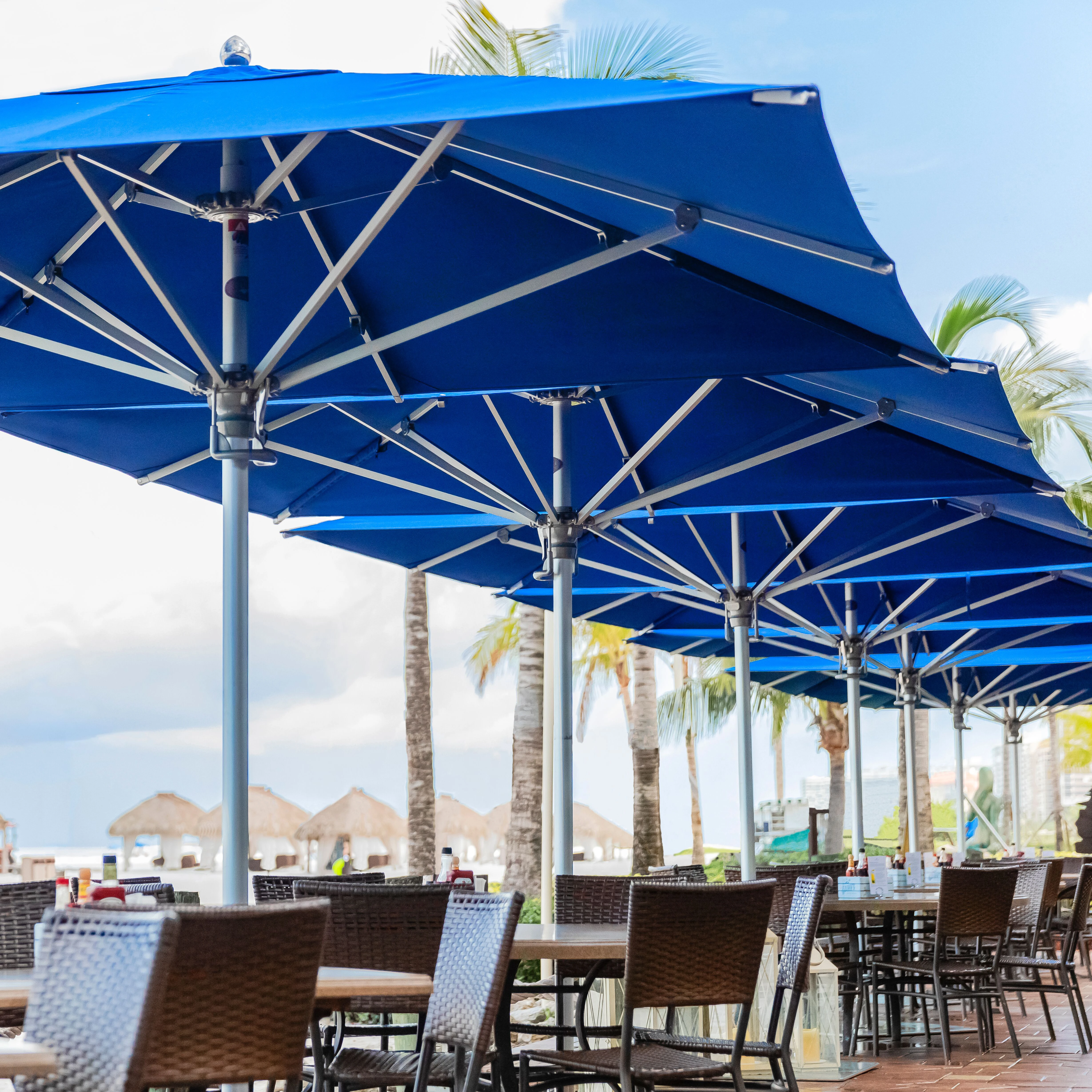 ESSENTIAL PARASOLS