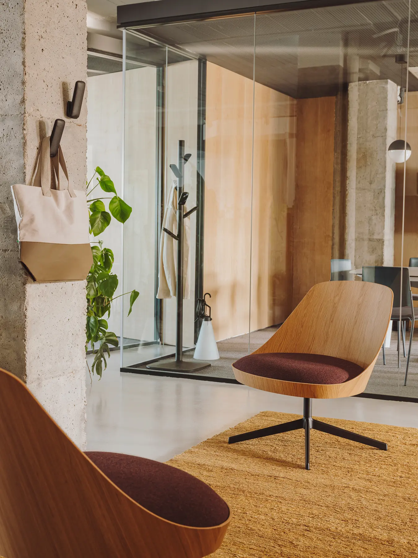 ENEA - Caddy coat hook