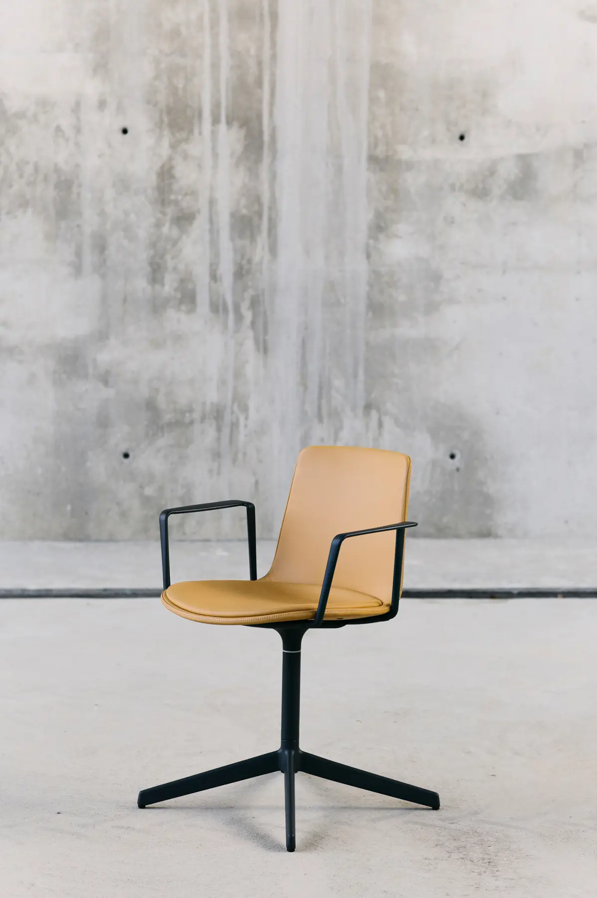 ENEA - Silla Lottus confident