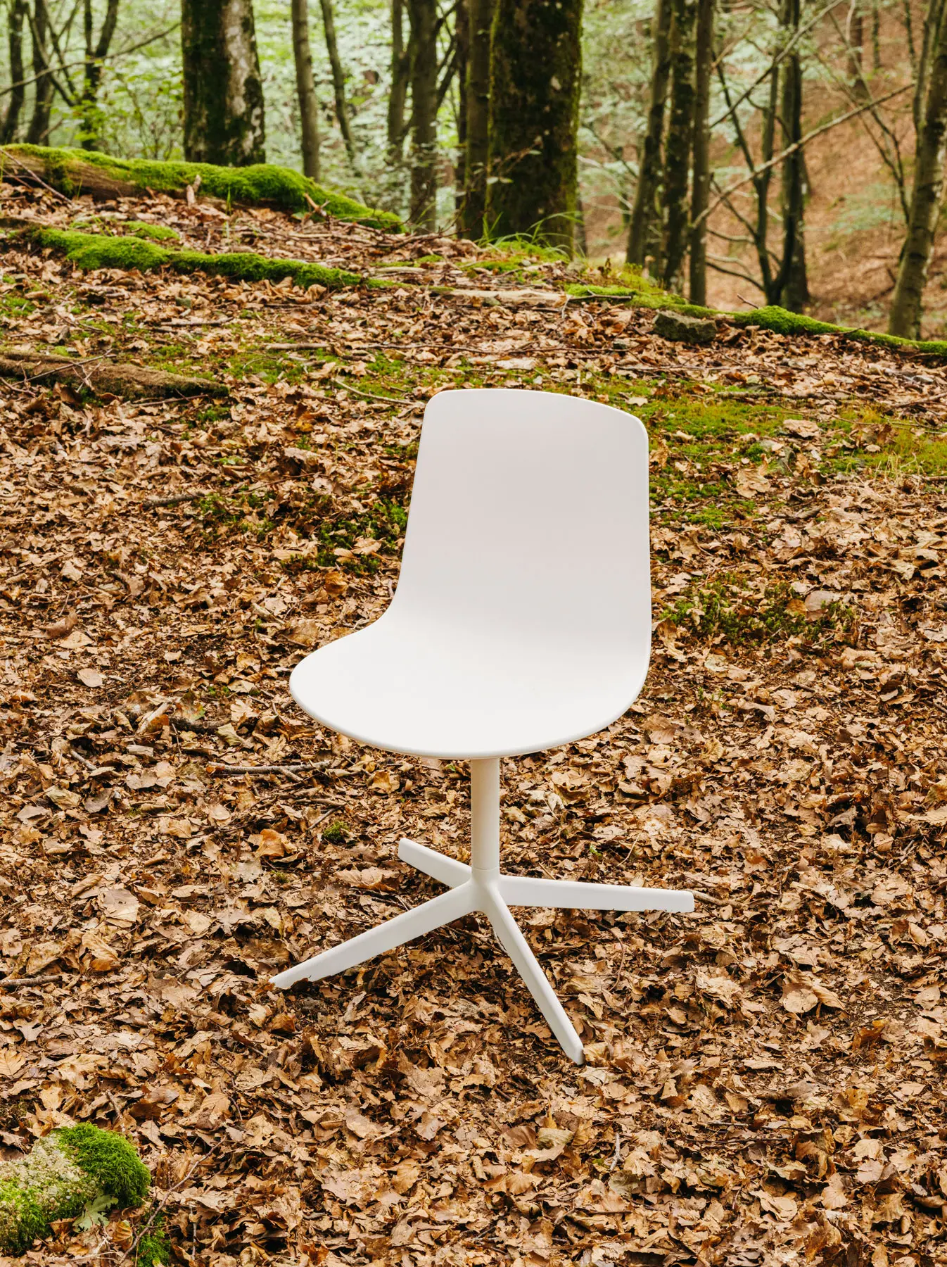 ENEA - Chaise Lottus confident