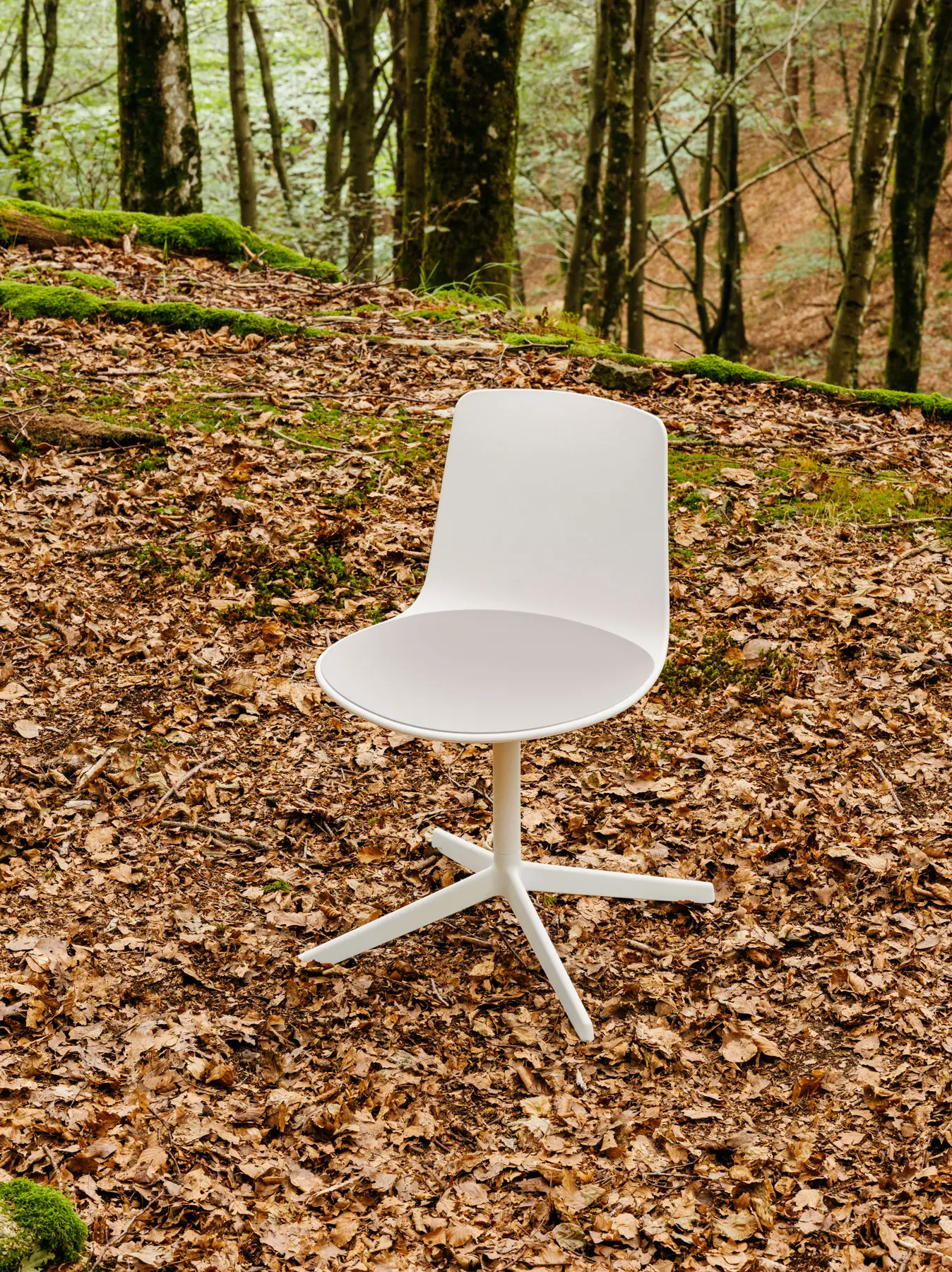 ENEA - Silla Lottus confident