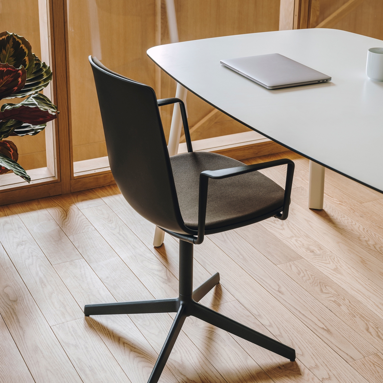 Produkt Lottus confident chair des Herstellers ENEA anzeigen