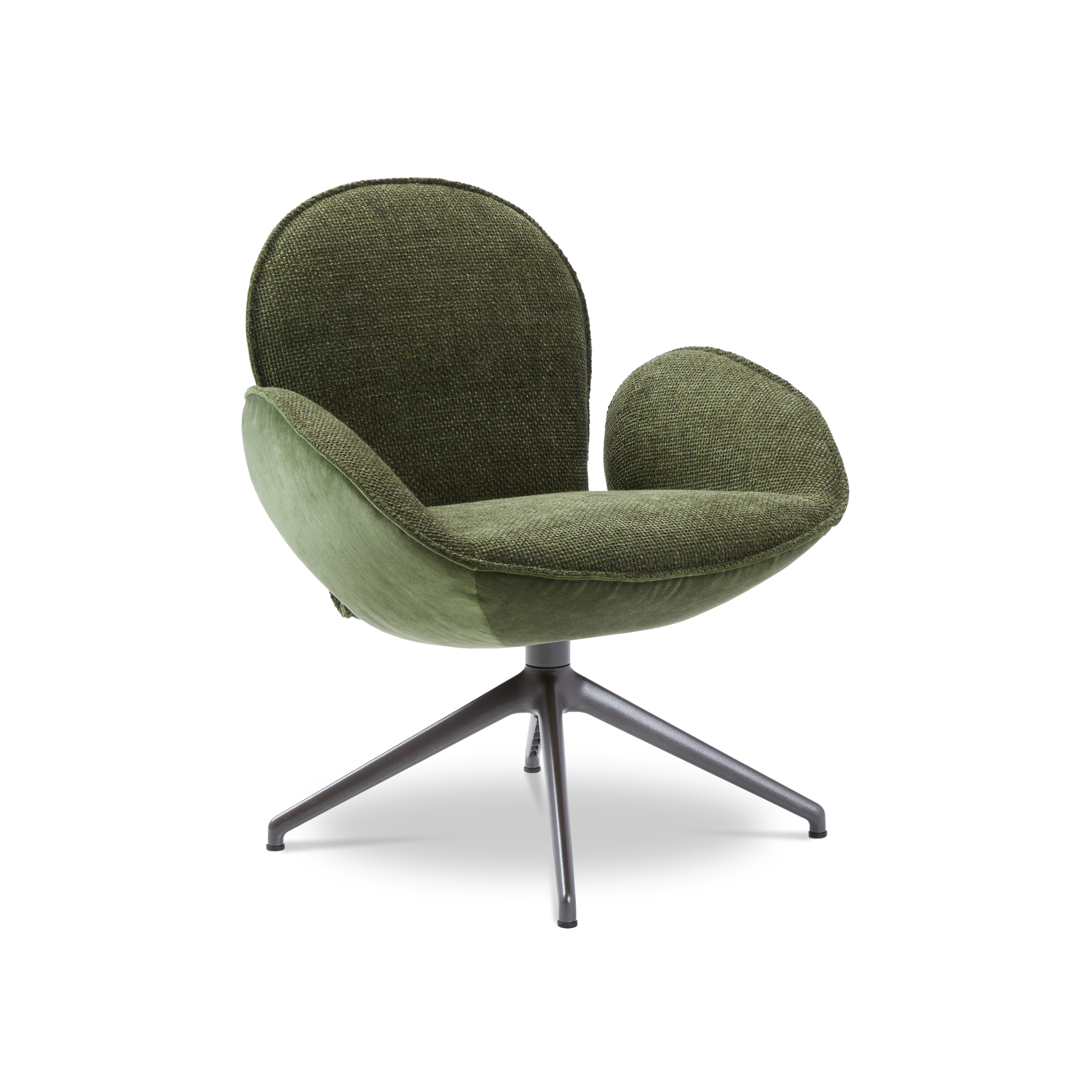 Mostra il prodotto Daydreamer armchair del produttore Jori