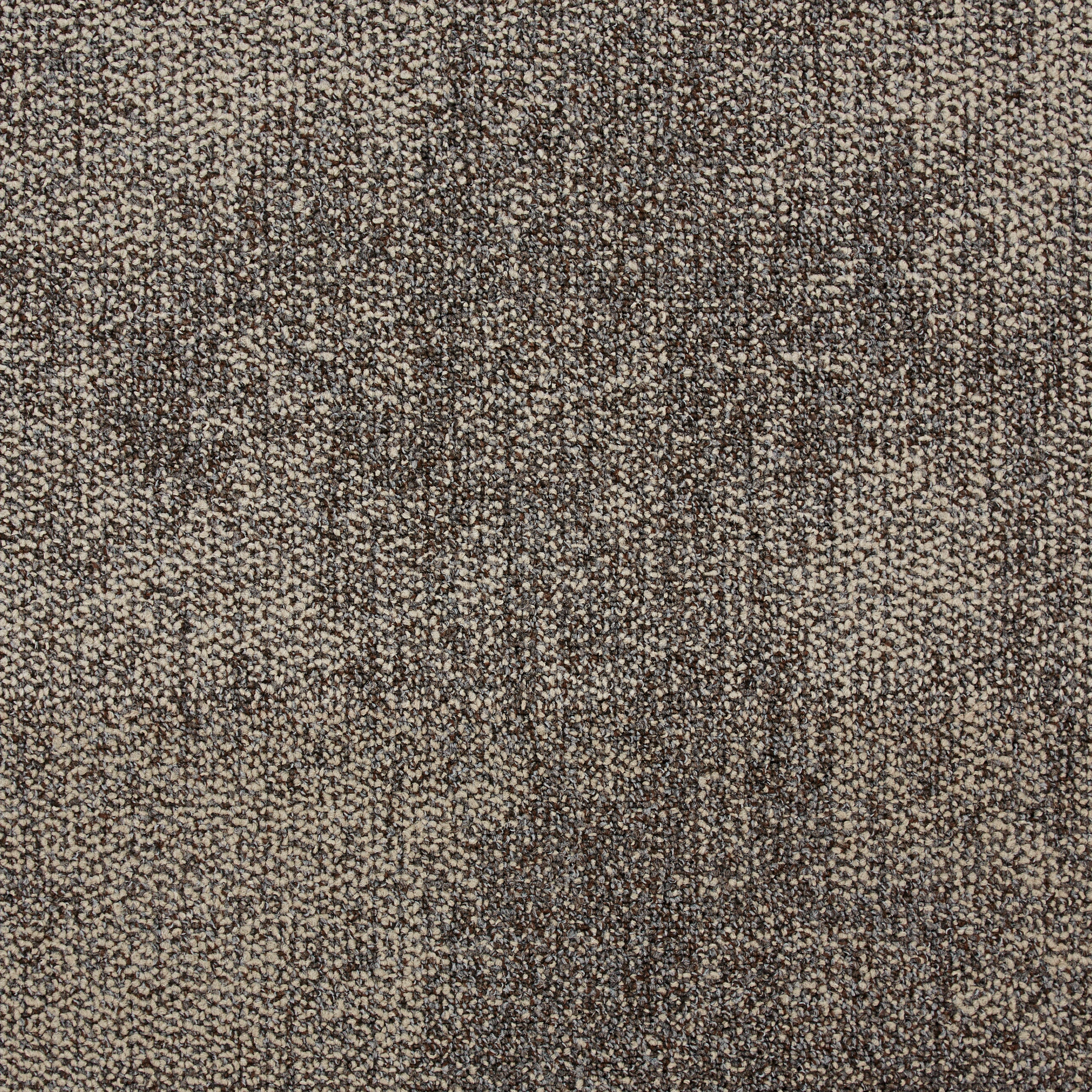 Composure 4169009 Content