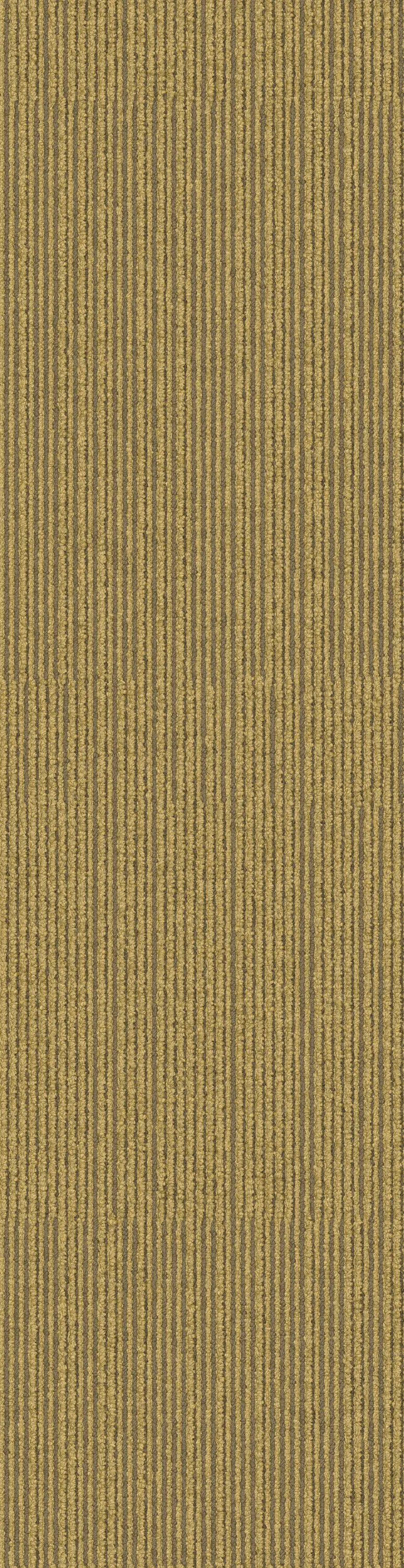 Interface - On Line 7335003 Mustard