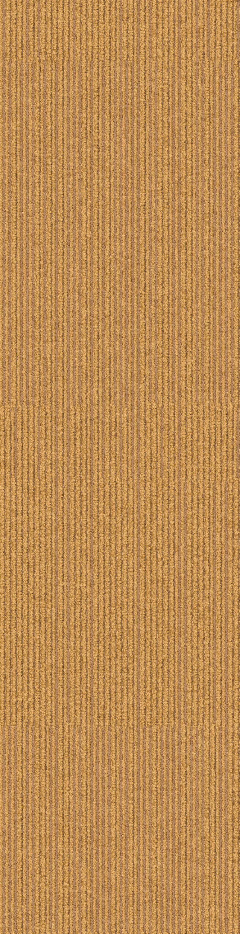 Interface - On Line 7335005 Canary