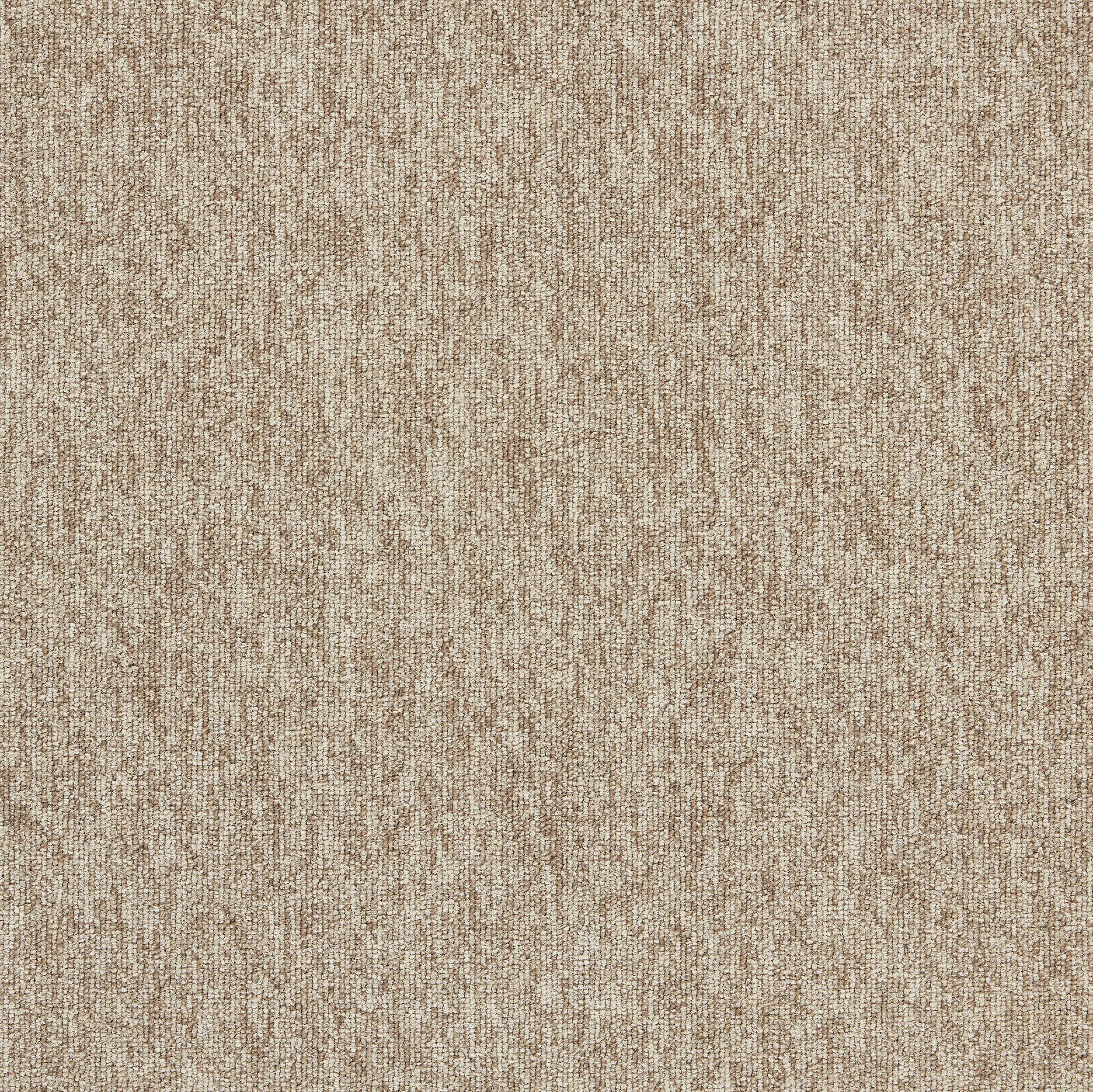 Interface - Employ Loop 4197001 Raffia