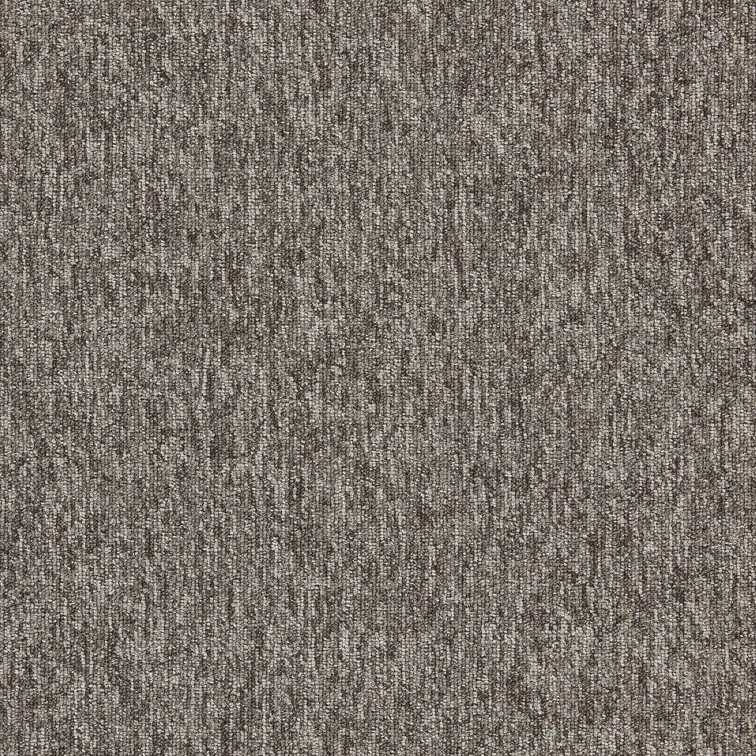 Interface - Employ Loop 4197005 Praline
