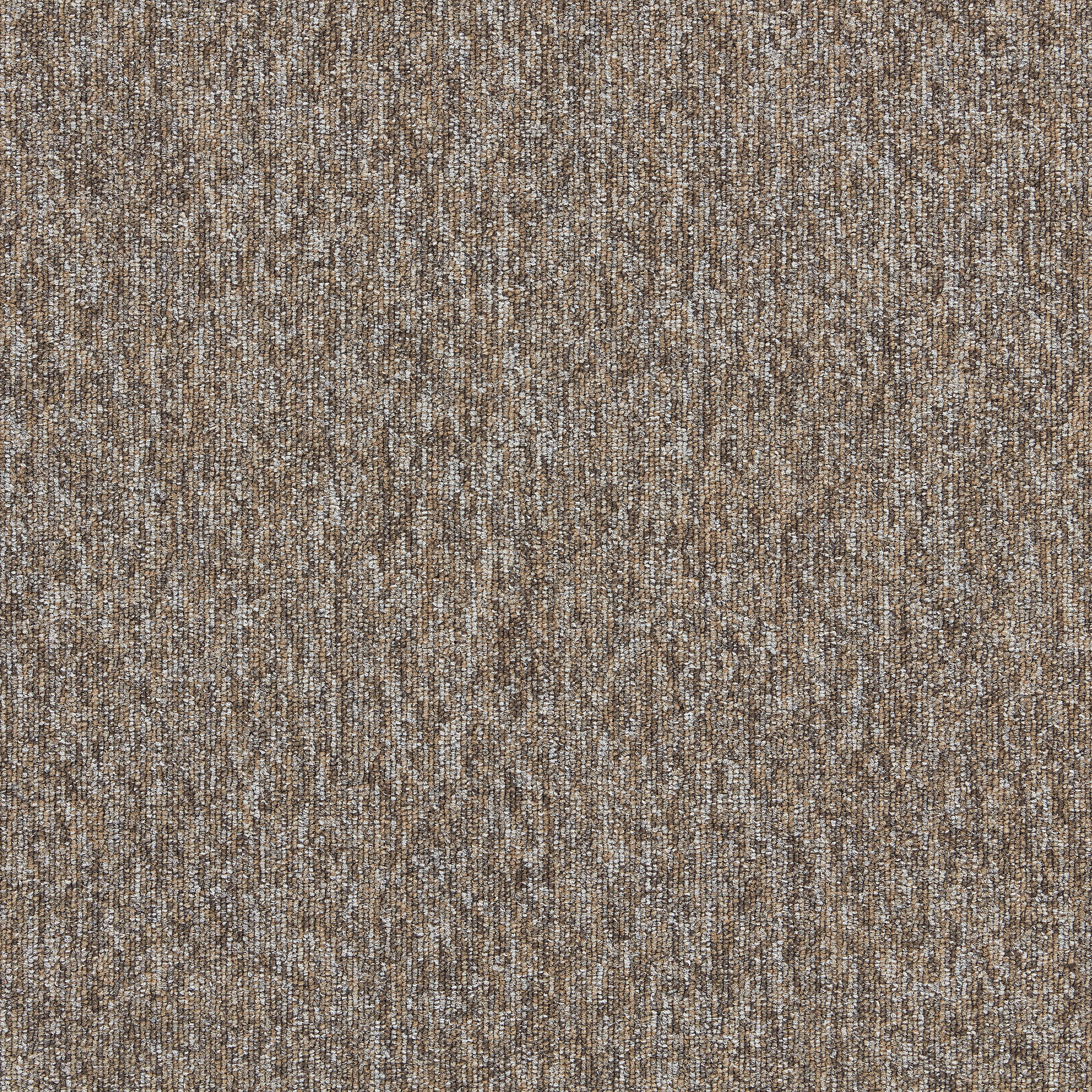 Employ Loop 4197007 Nutmeg