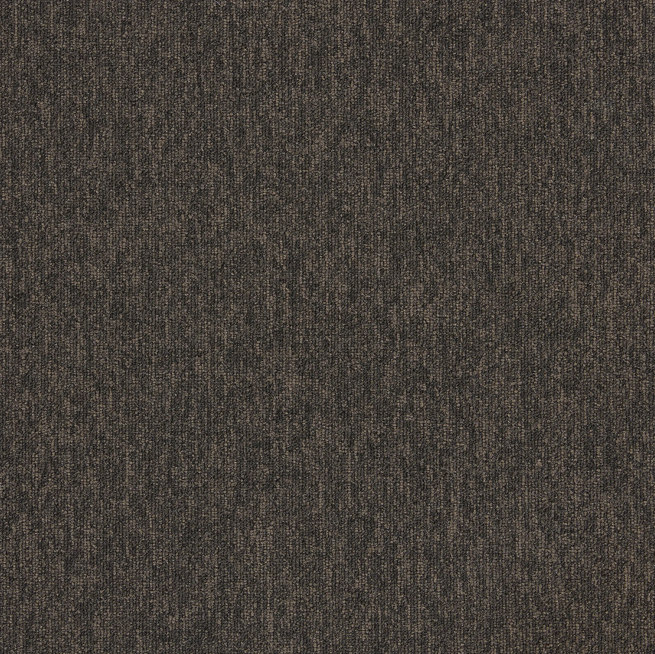 Interface - Employ Loop 4197010 Rye
