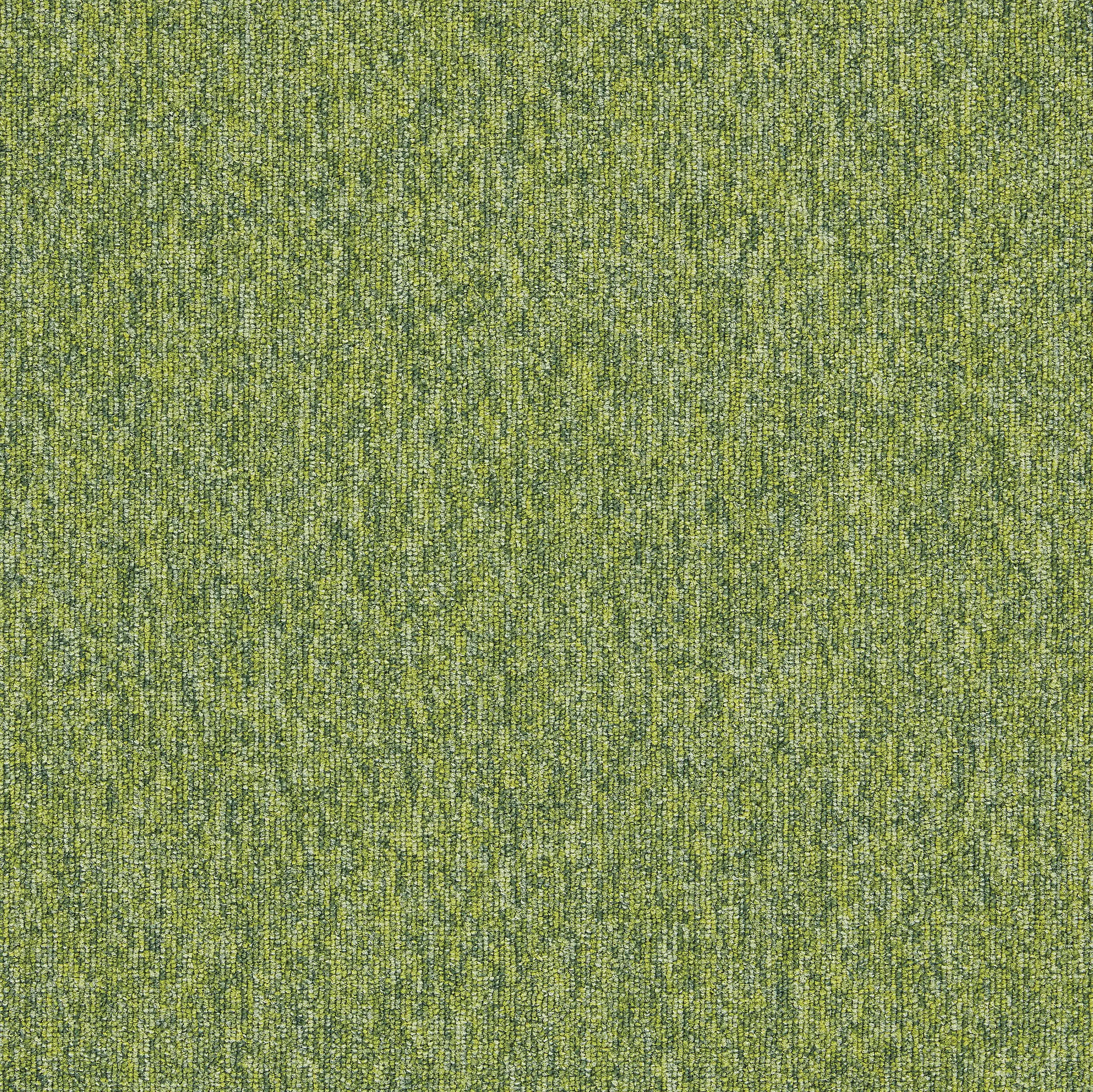 Interface - Employ Loop 4197015 Kiwi