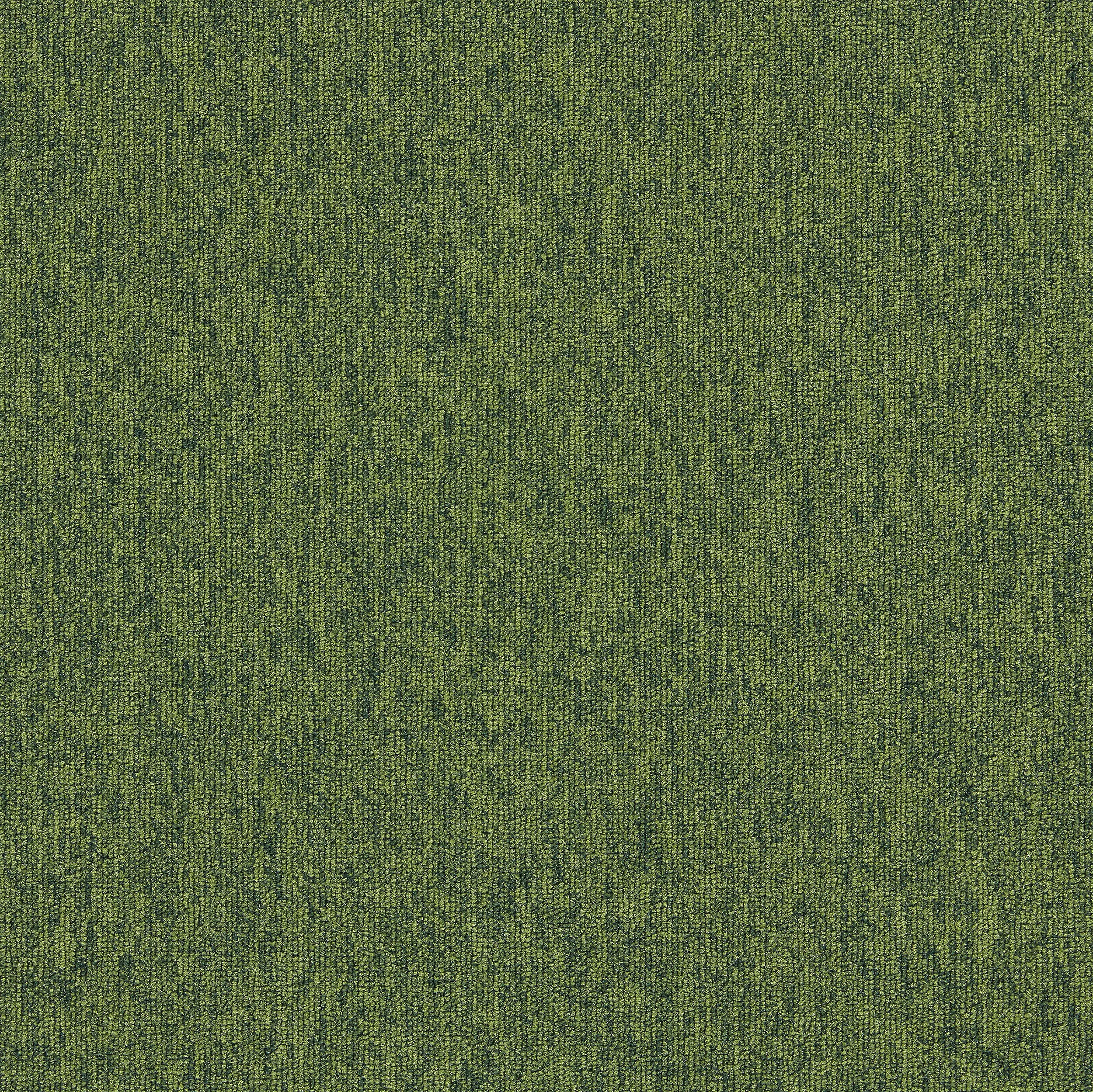 Interface - Employ Loop 4197018 Eden