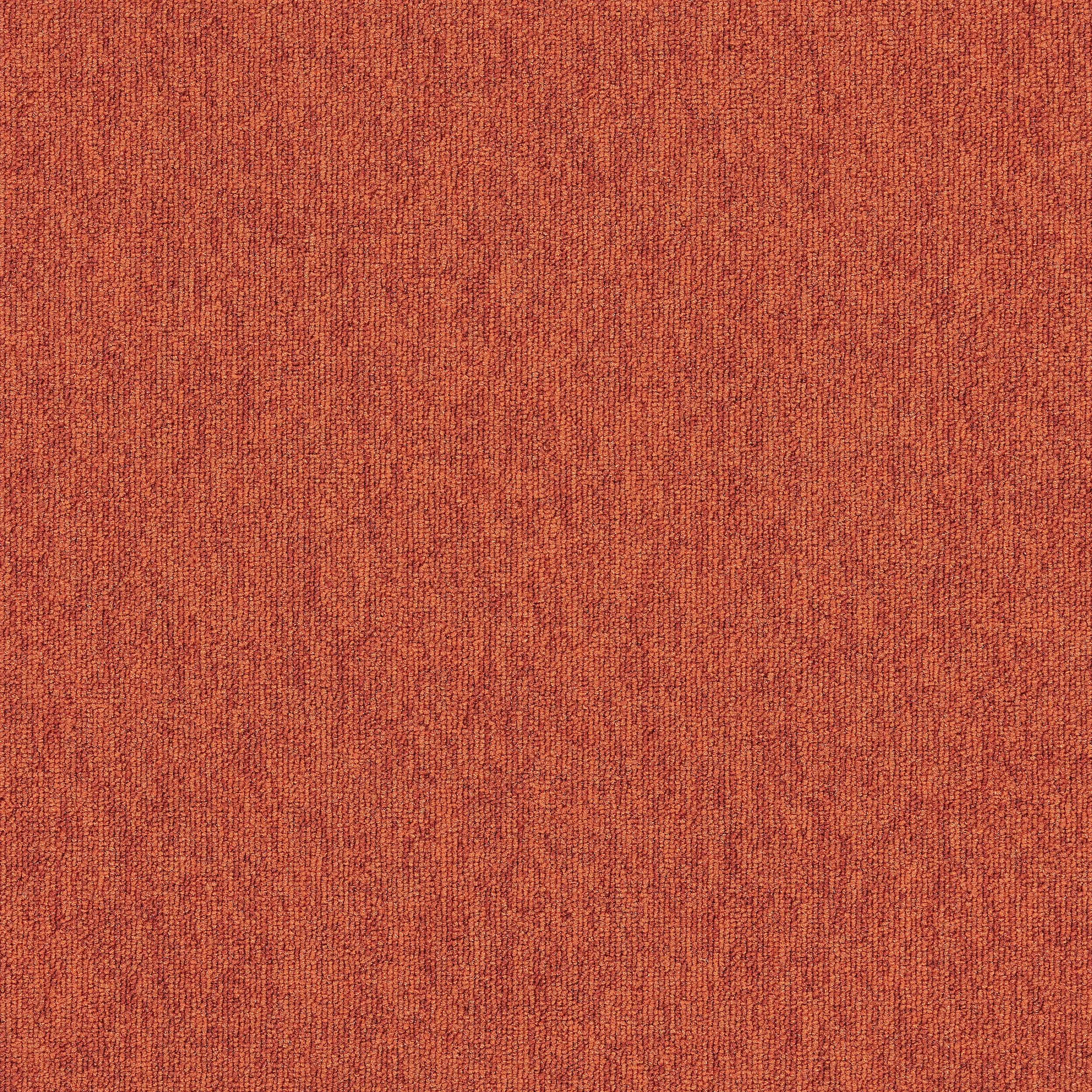 Interface - Employ Loop 4197021 Clementine