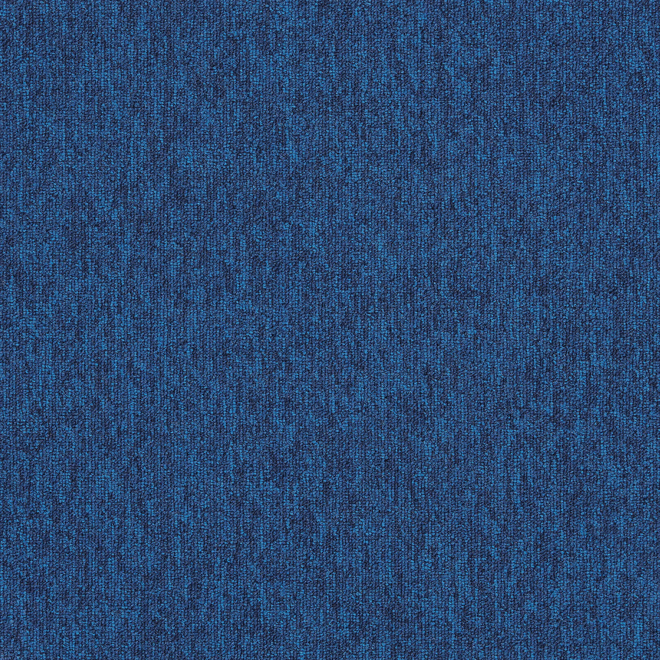 Interface - Employ Loop 4197022 Sapphire