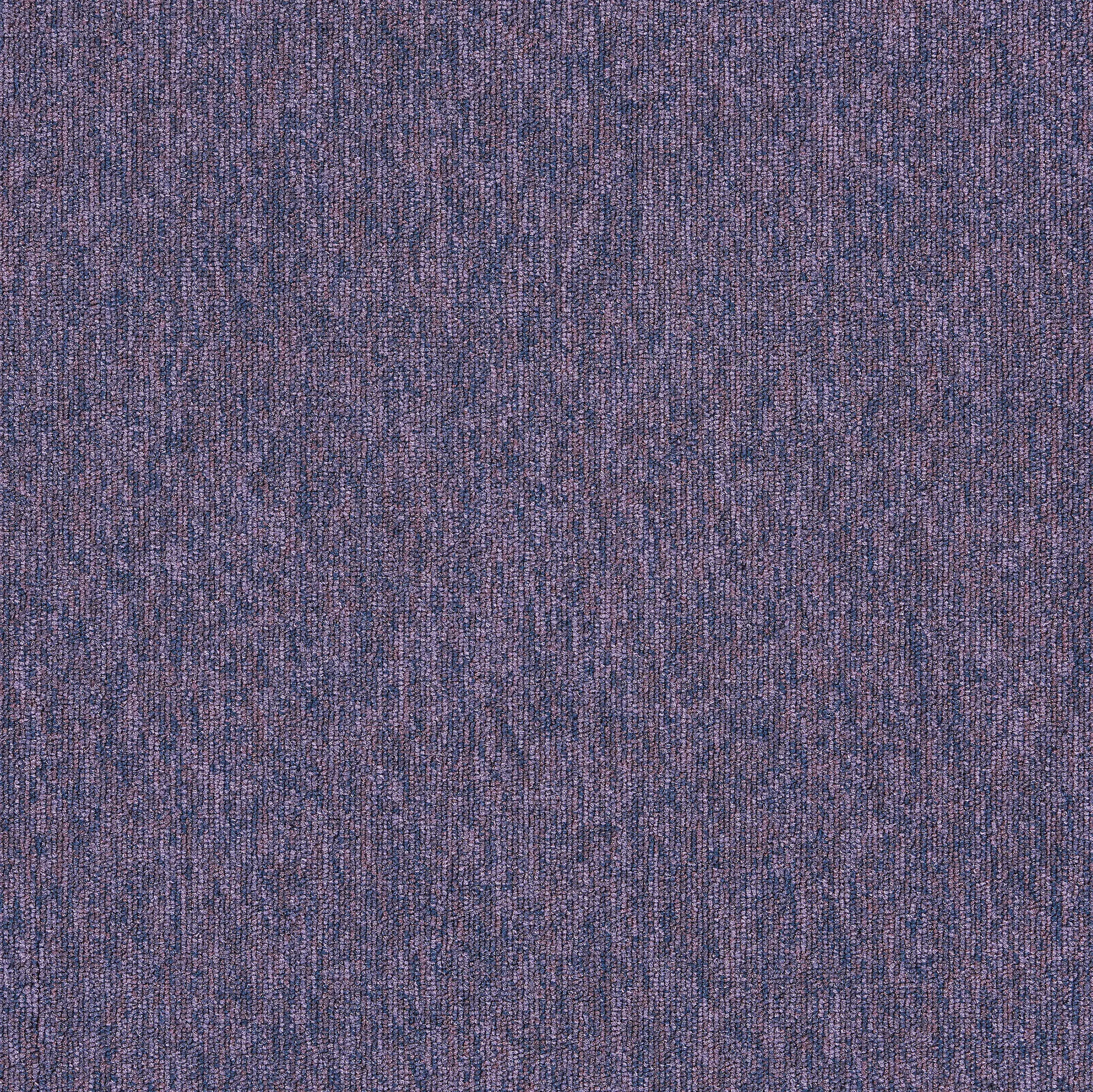 Interface - Employ Loop 4197023 Lavender