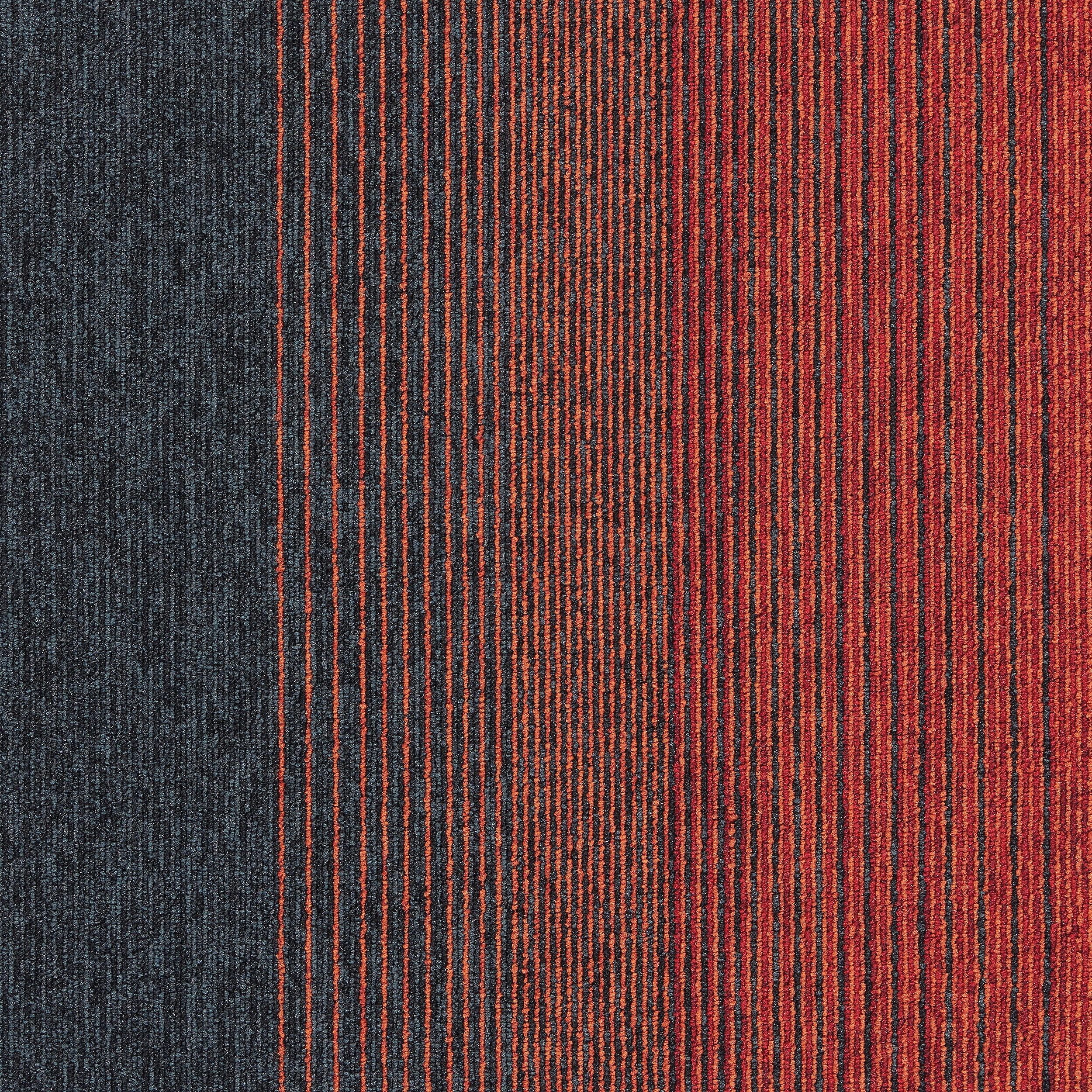 Employ Lines 4223005 Sunset