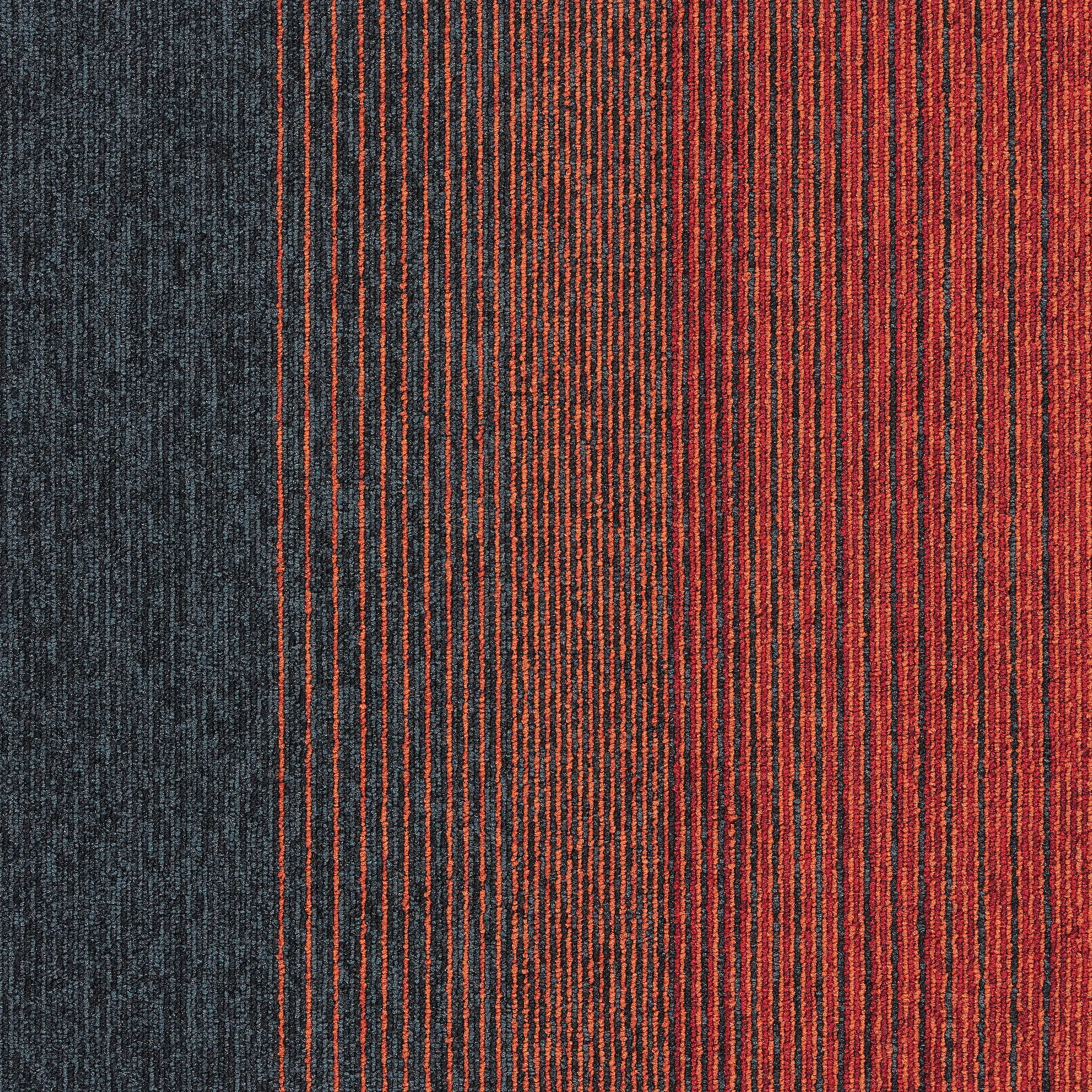 Interface - Employ Lines 4223005 Sunset