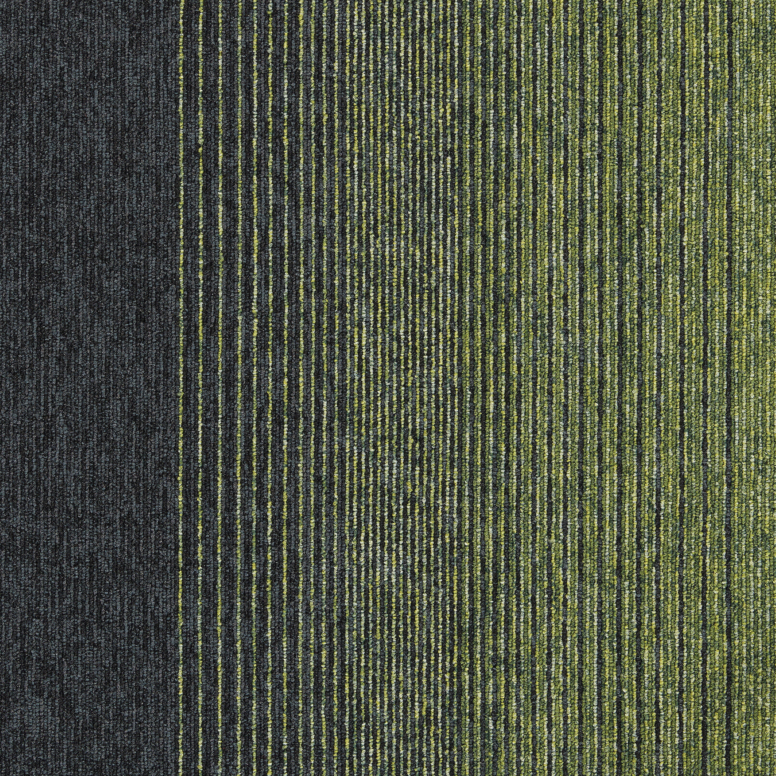 Employ Lines 4223006 Meadow