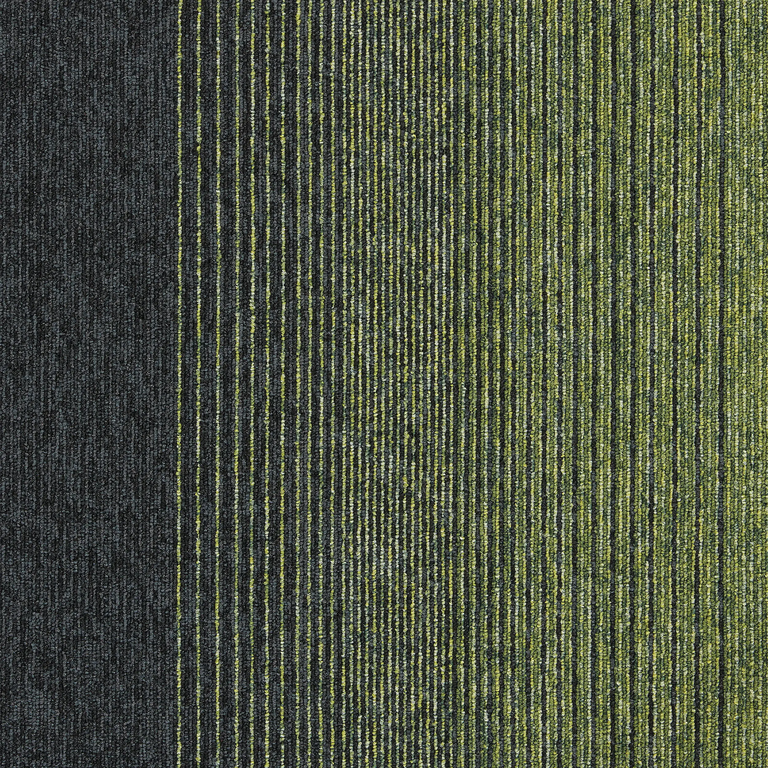 Interface - Employ Lines 4223006 Meadow