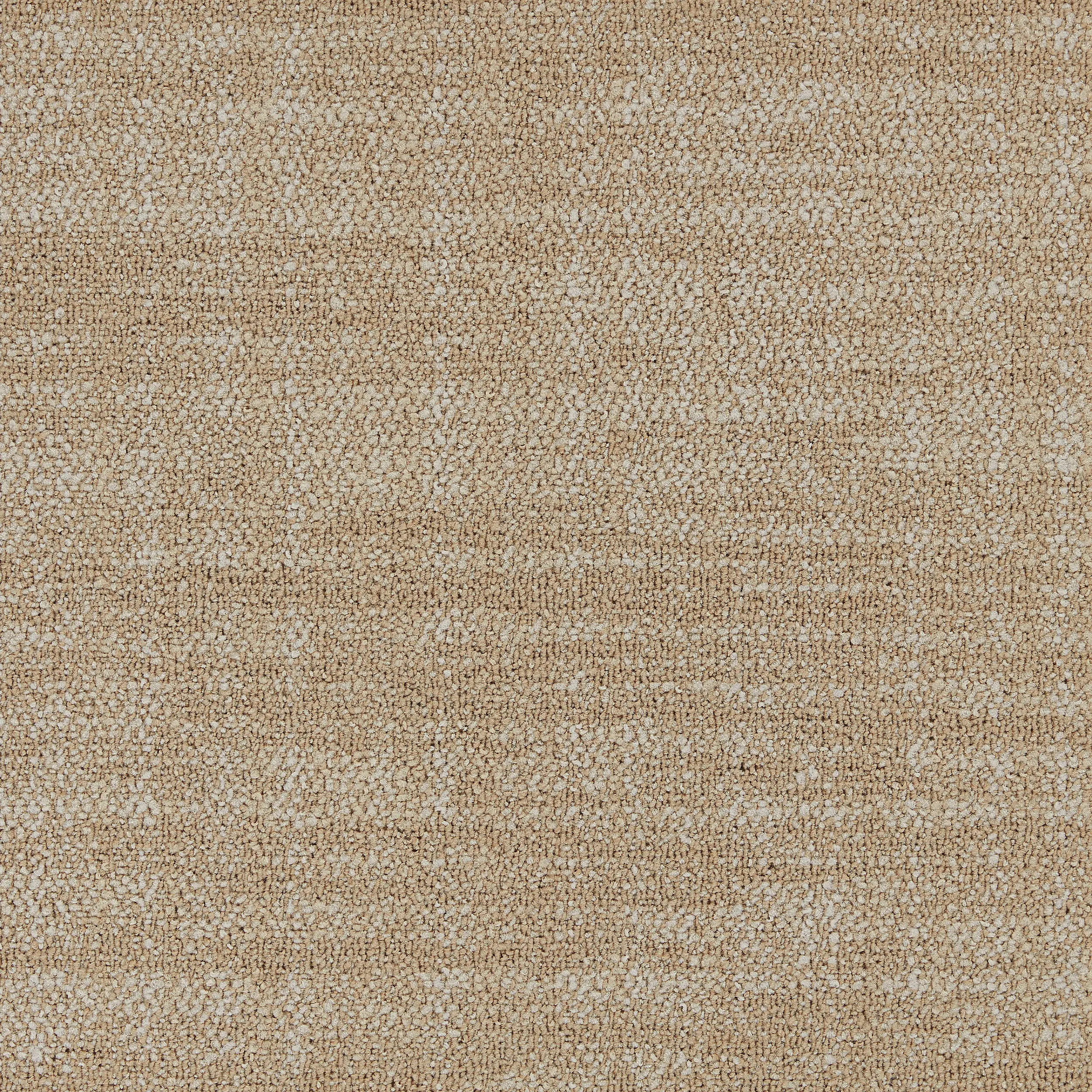 Interface - Contemplation 4263007 Fundamental