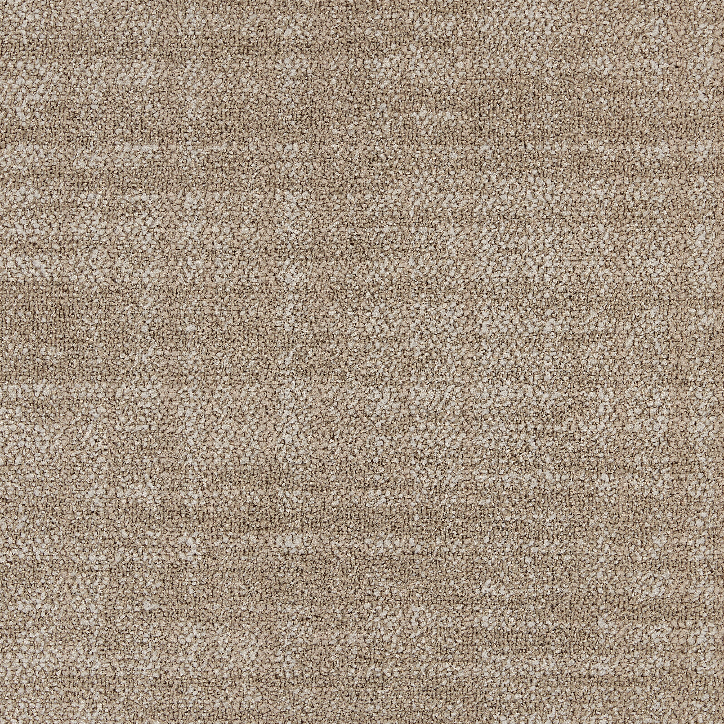 Contemplation 4263008 Artisan