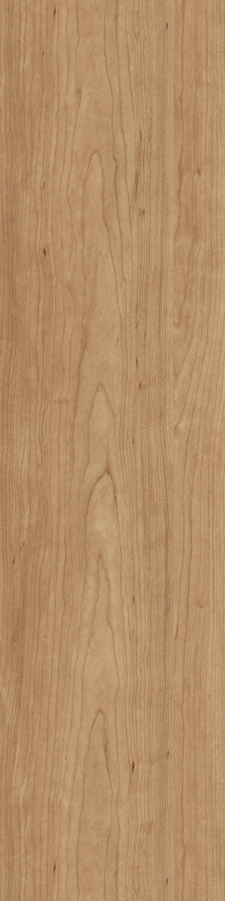 Interface - Level Set Natural Woodgrains A00212 Cedar