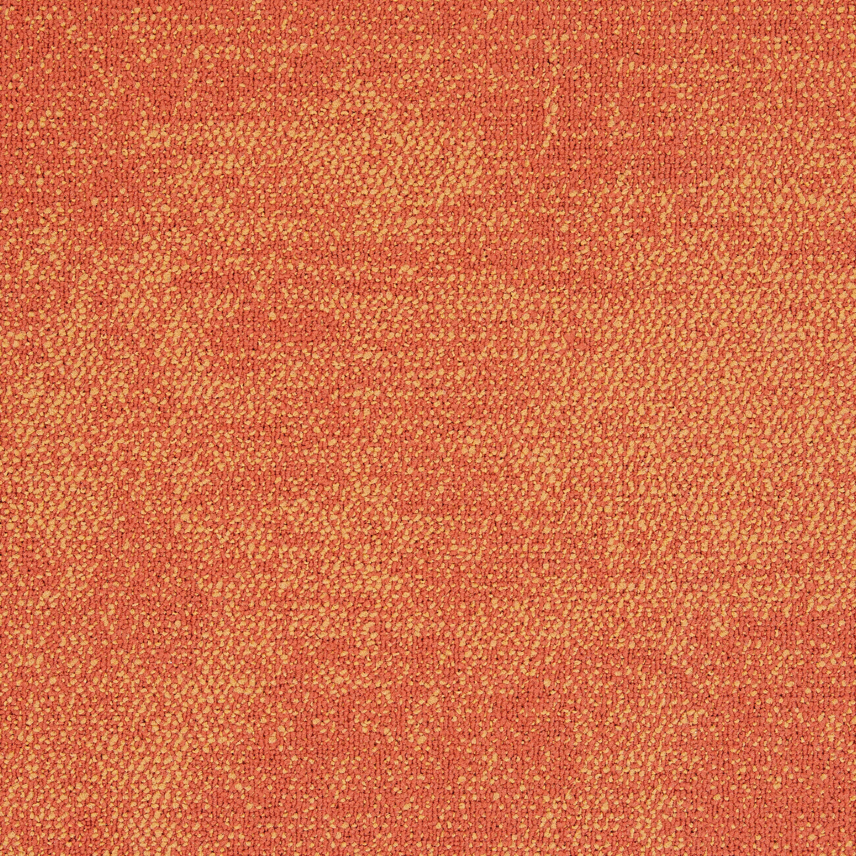 Interface - Composure 4169072 Amber