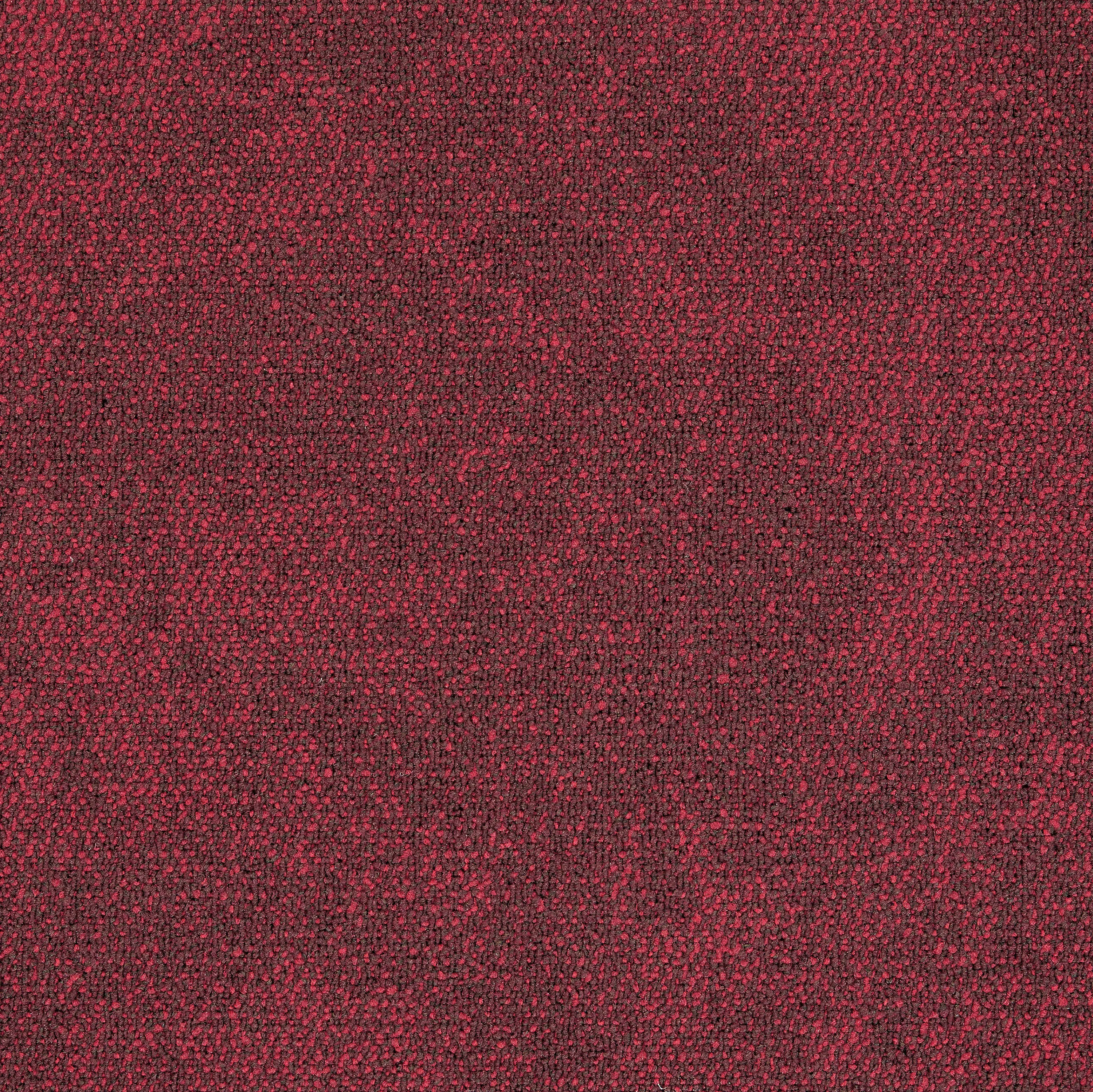 Interface - Composure 4169064 Berry