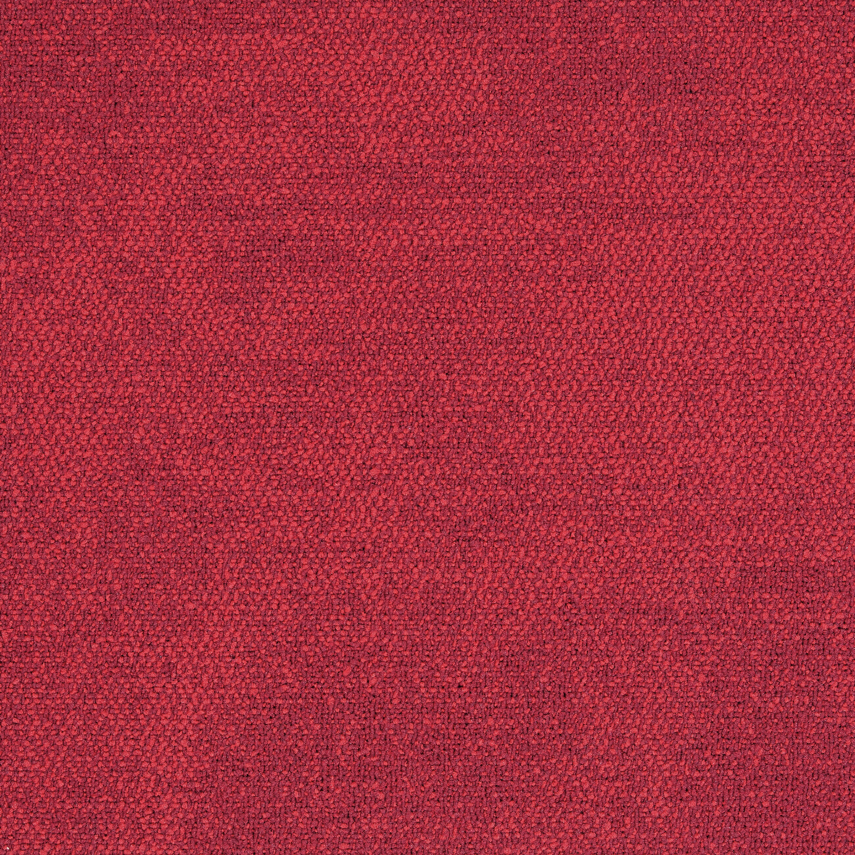 Display product Composure 4169065 Cranberry from manufacturer Interface