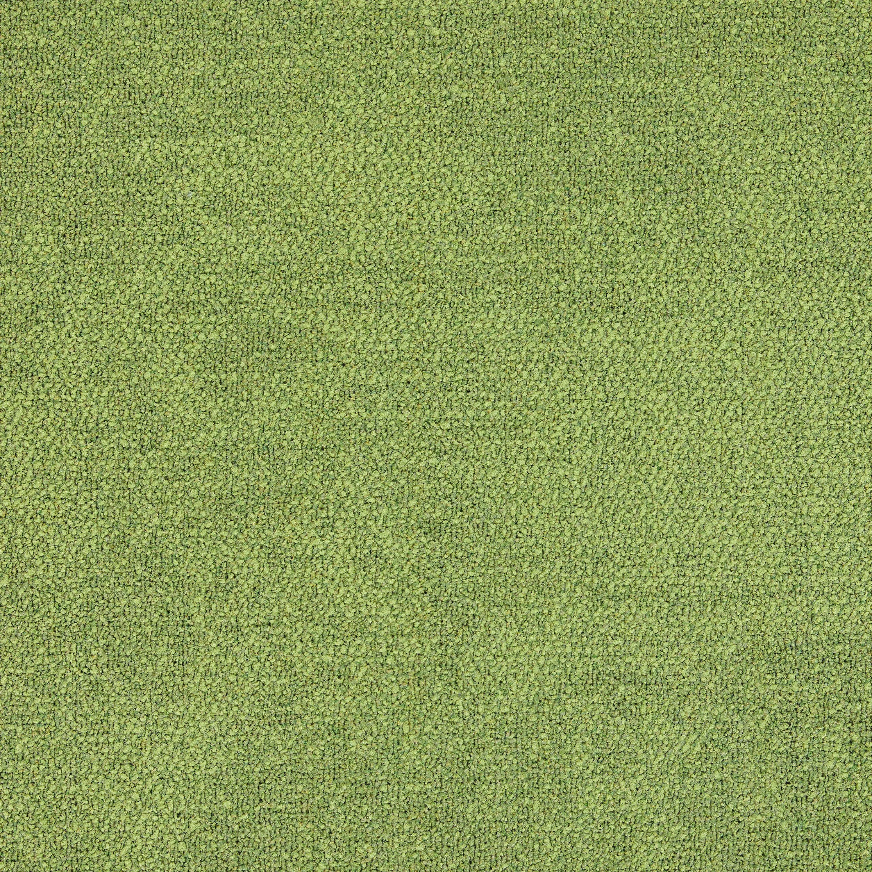 Interface - Composure 4169070 Fern