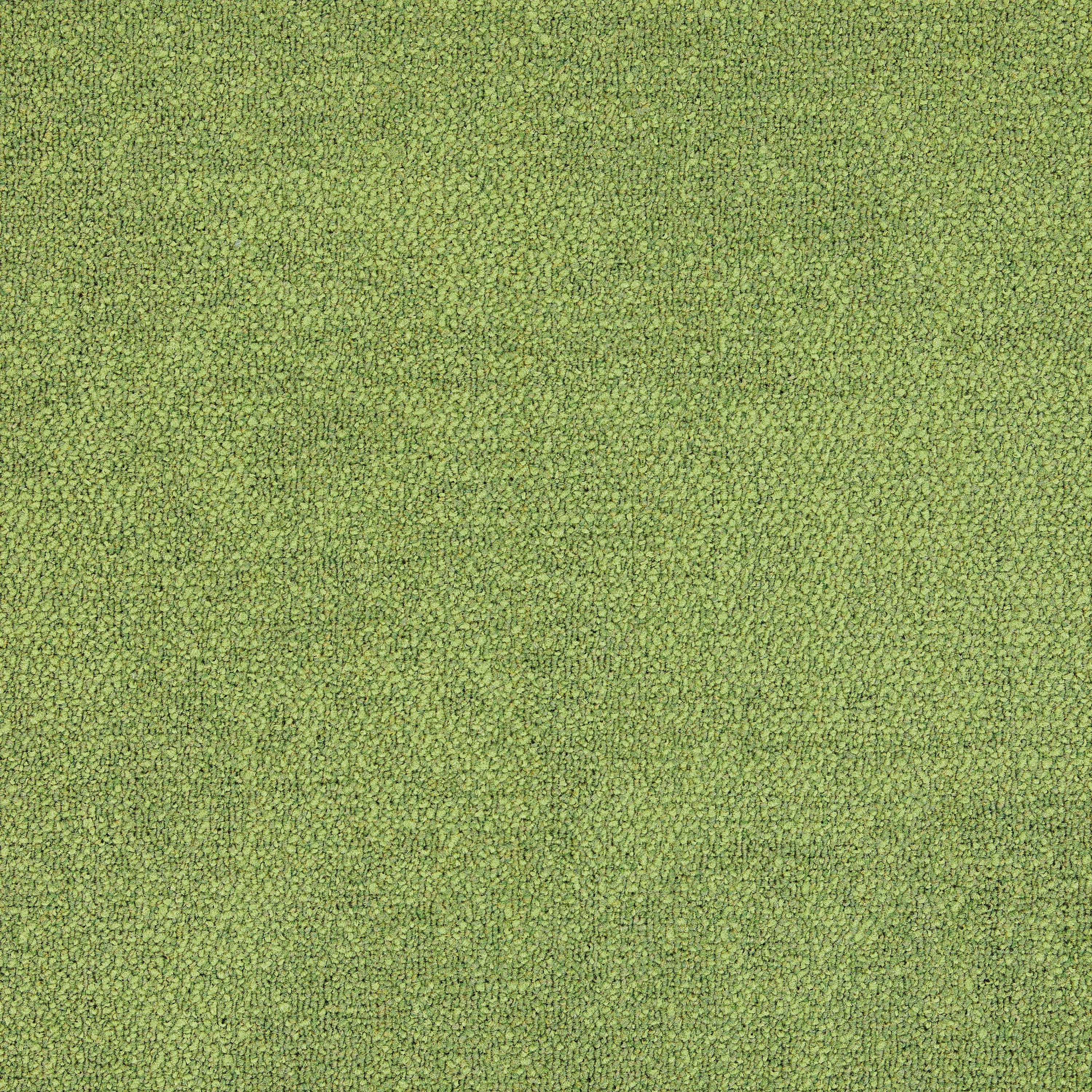 Display product Composure 4169070 Fern from manufacturer Interface