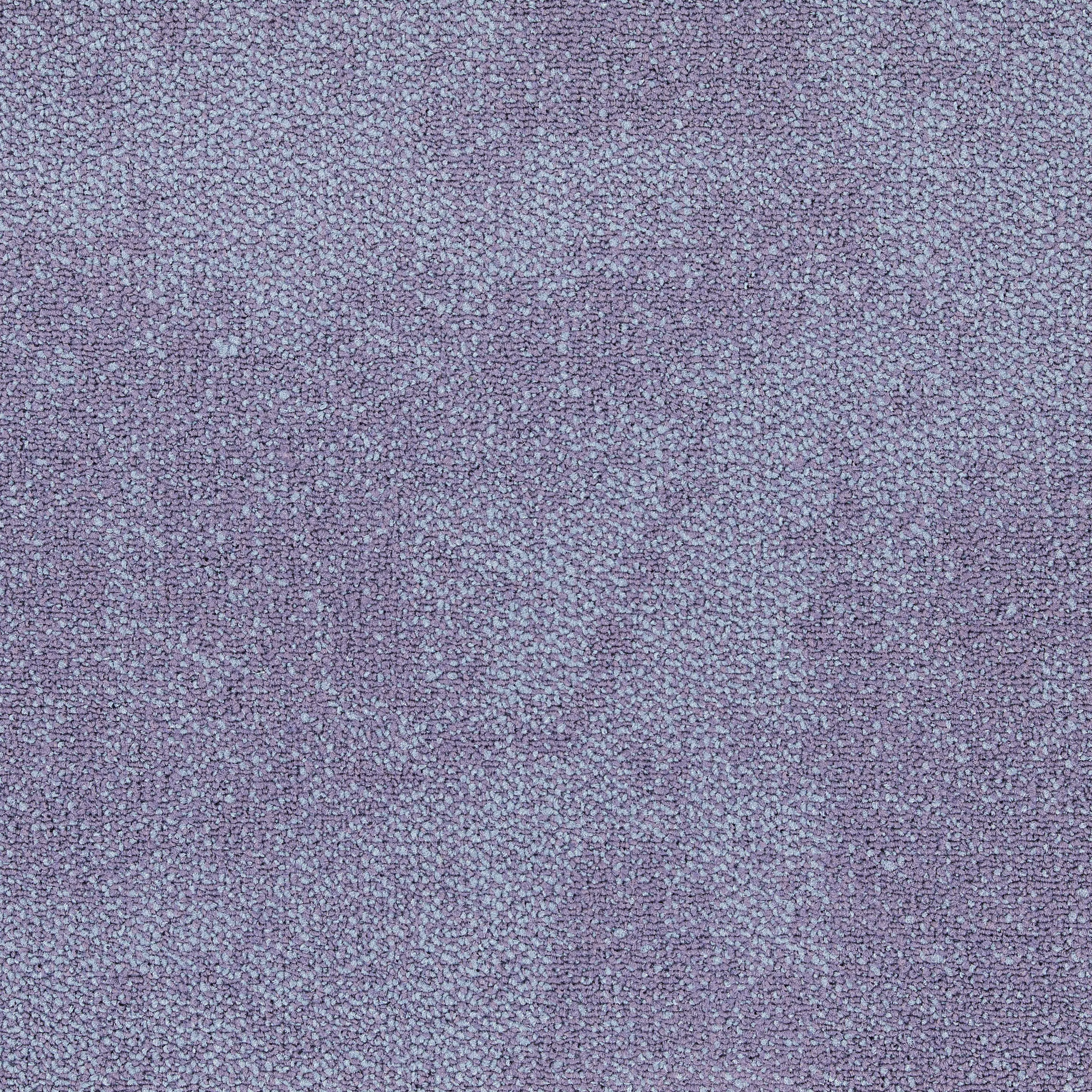 Interface - Composure Lavender