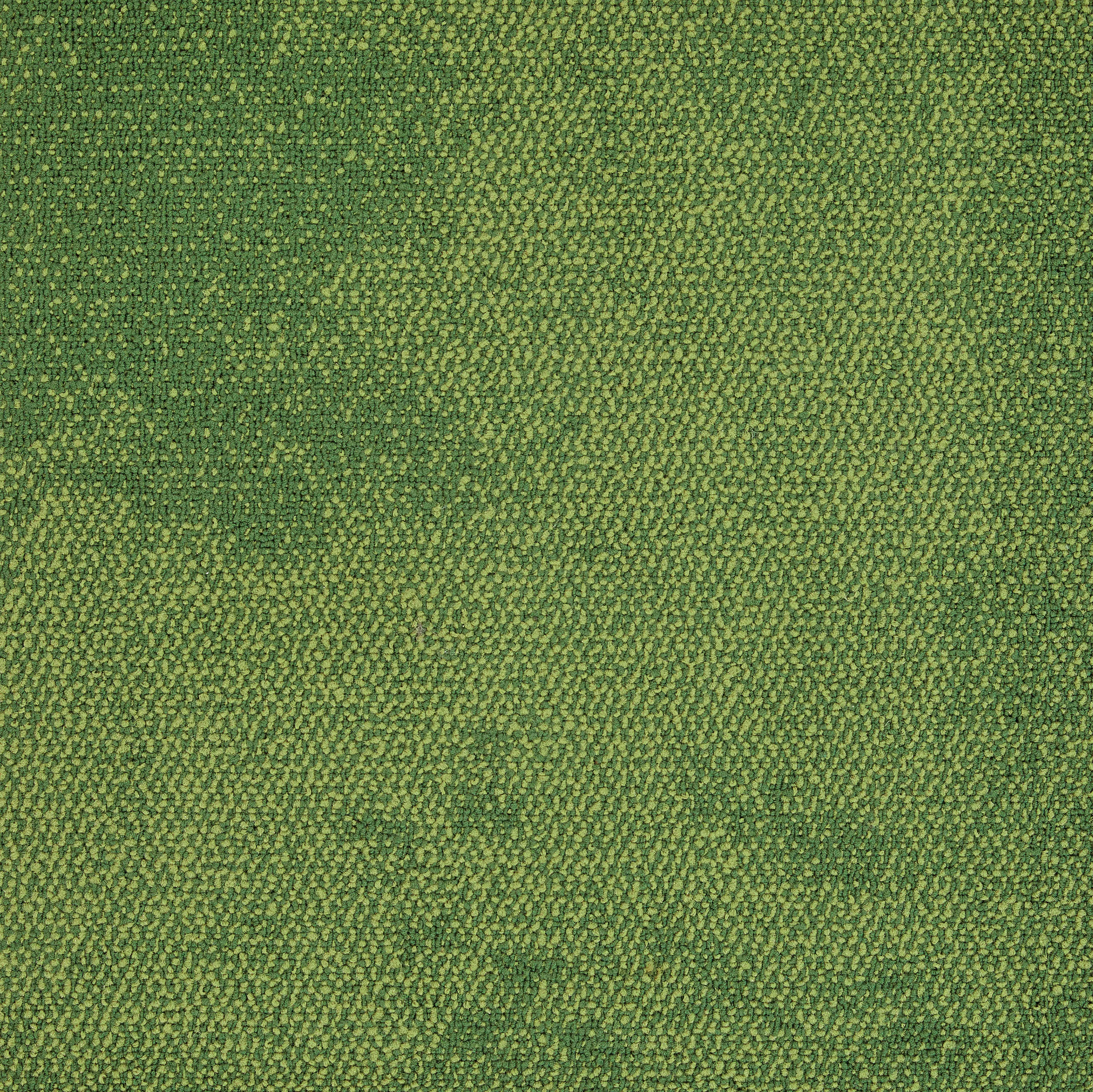 Interface - Composure 4169071 Olive
