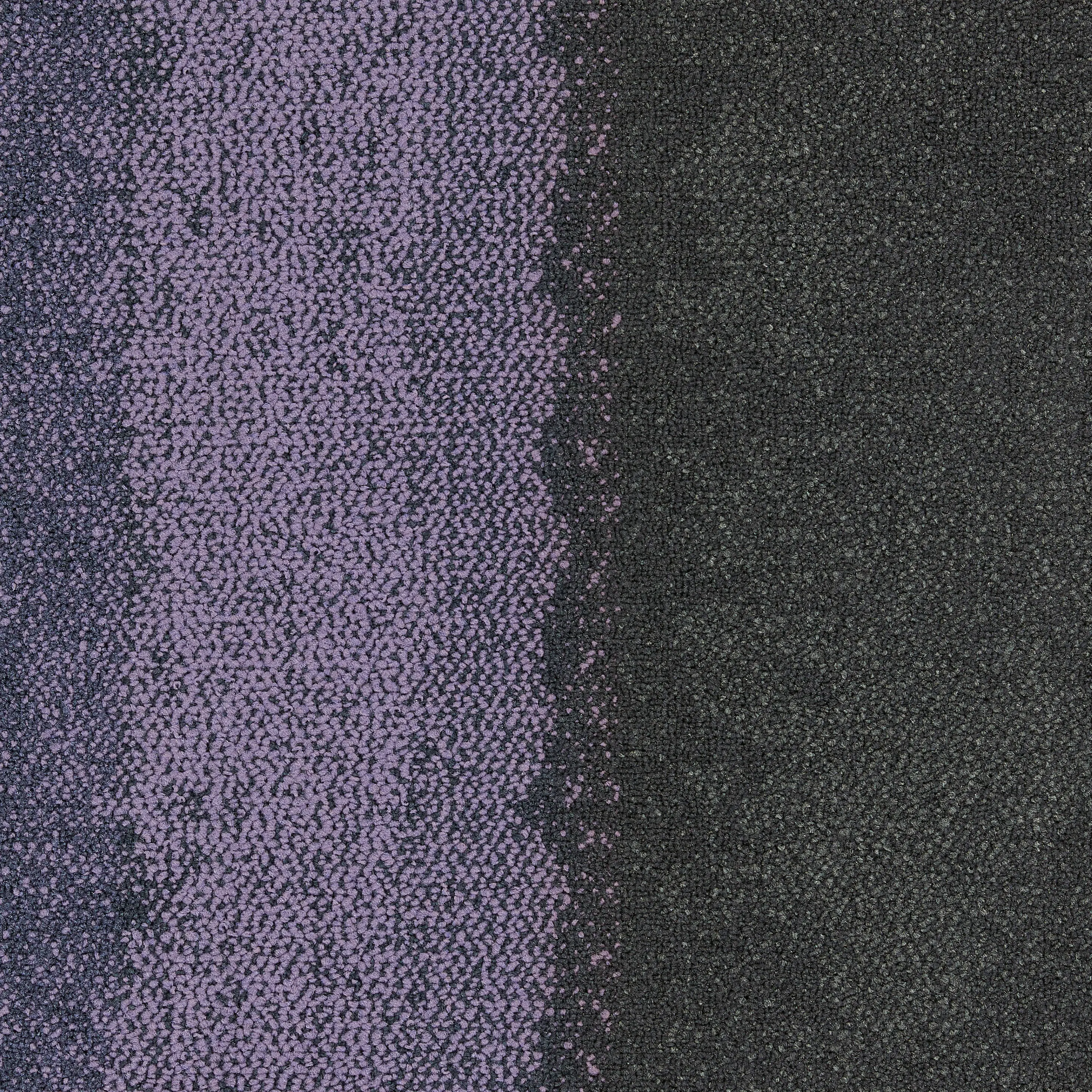 Interface - Composure Edge Aubergine/Solitude