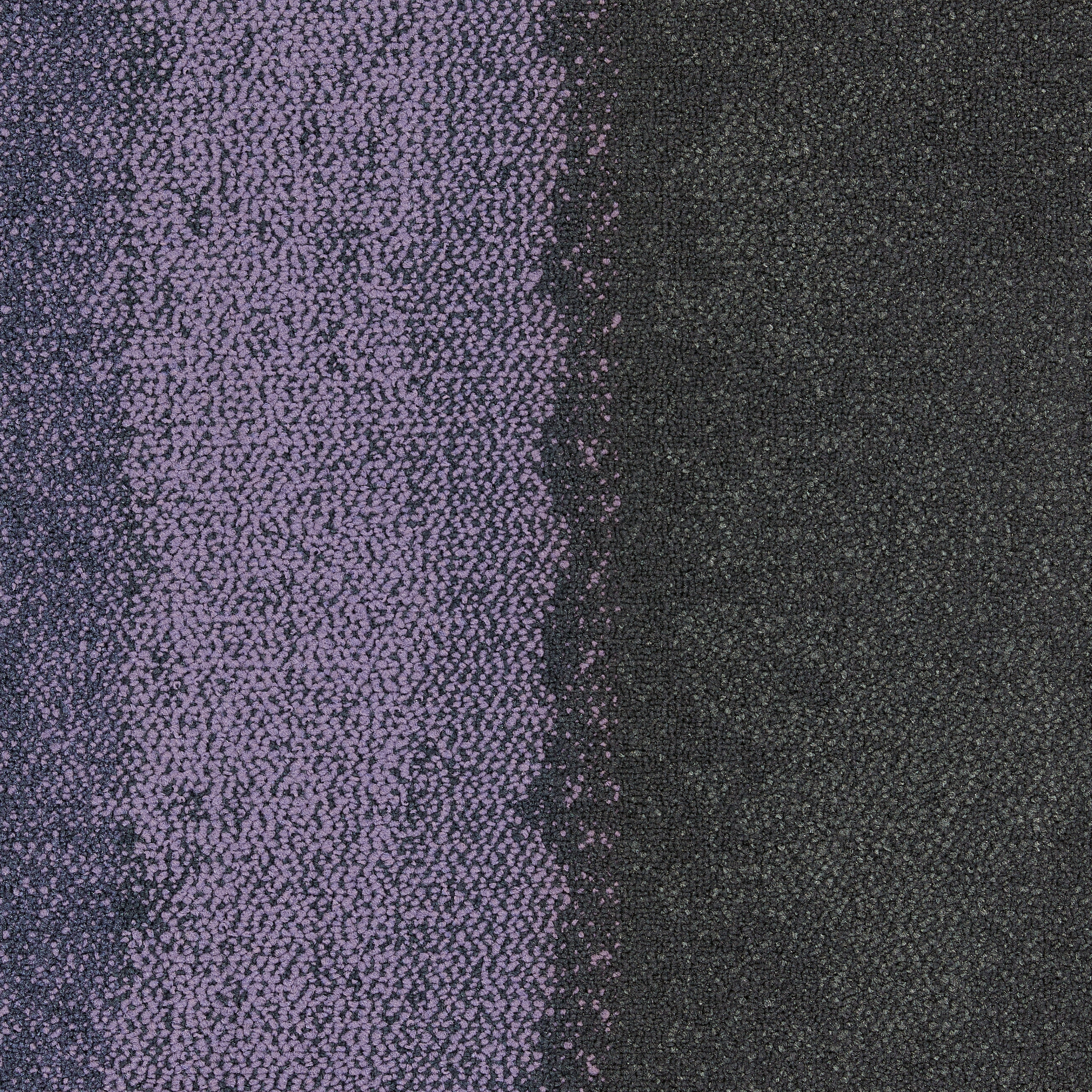 Composure Edge Aubergine/Solitude