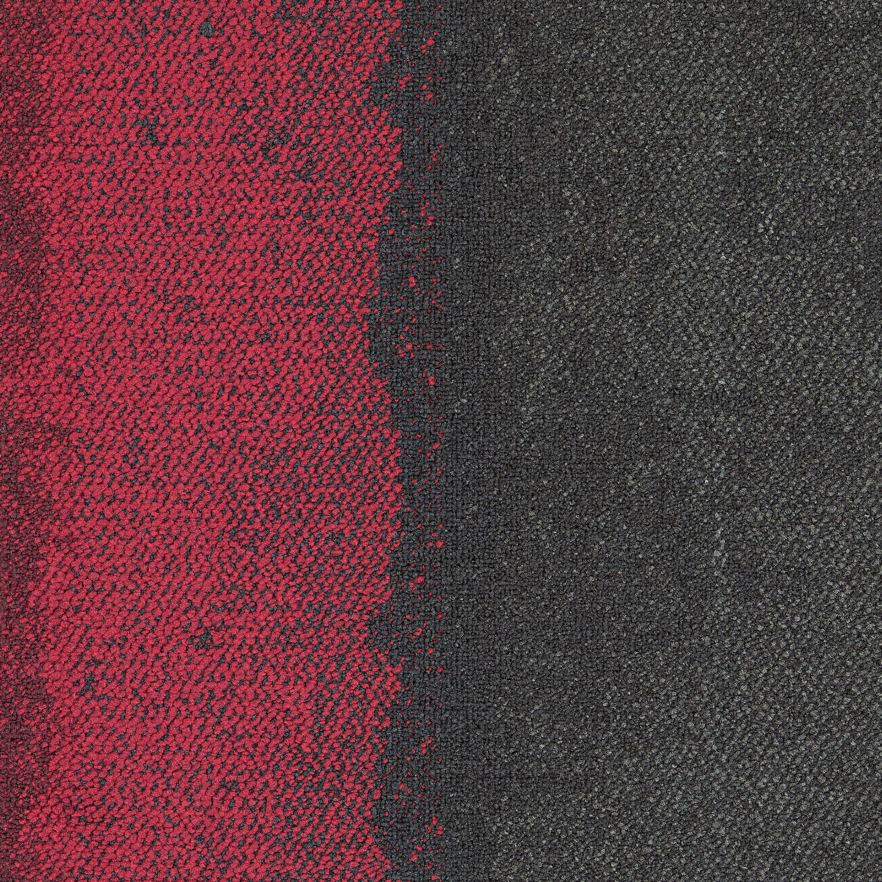 Composure Edge 4274008 Berry/Solitude