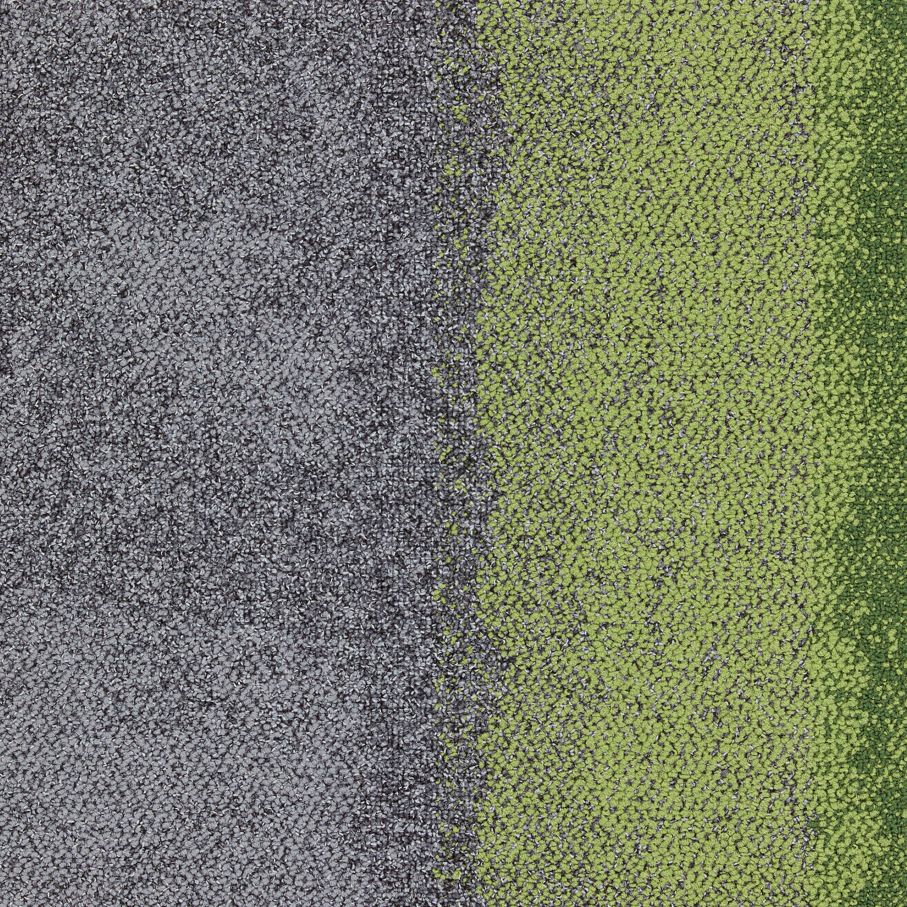 Composure Edge Olive/Seclusion