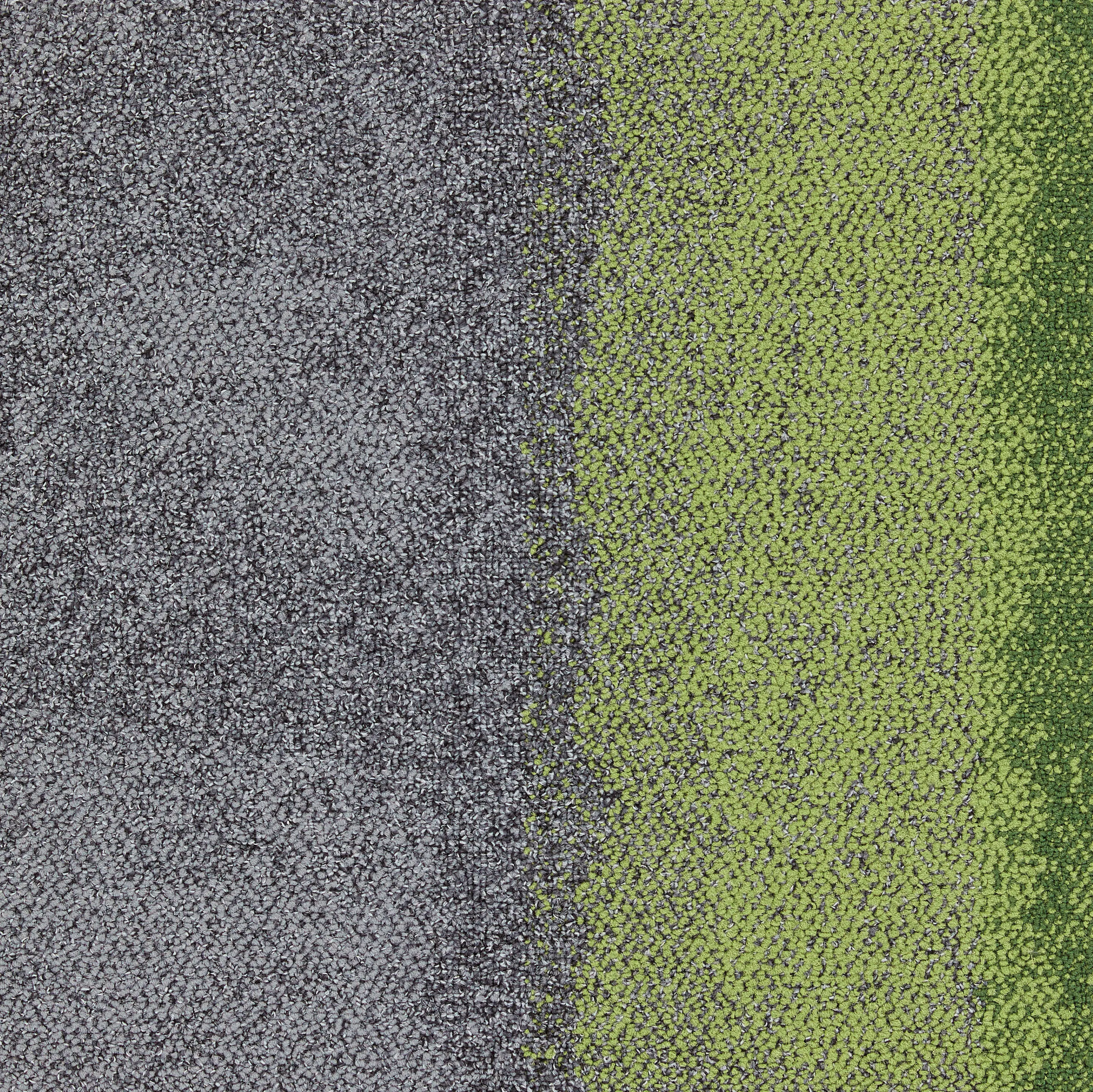 Interface - Composure Edge Olive/Seclusion