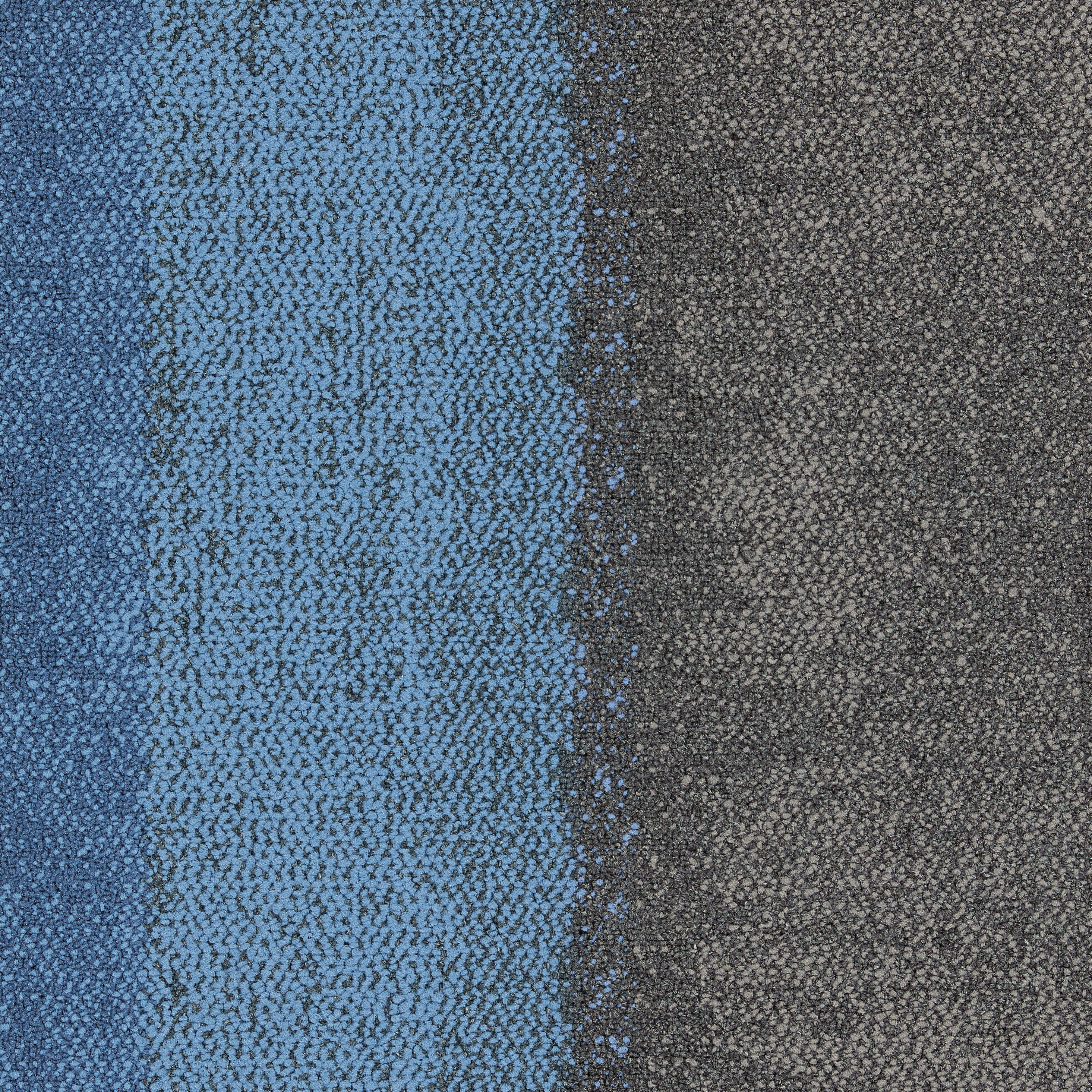Composure Edge Sapphire/Diffuse